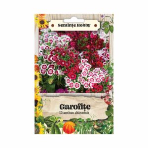 Seminte flori Garofite, 3 g