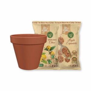 Pachet pentru ingrijirea citricelor cu substrat natural pentru citrice, argila expandata si ghiveci de teracota cu diametrul de 17cm