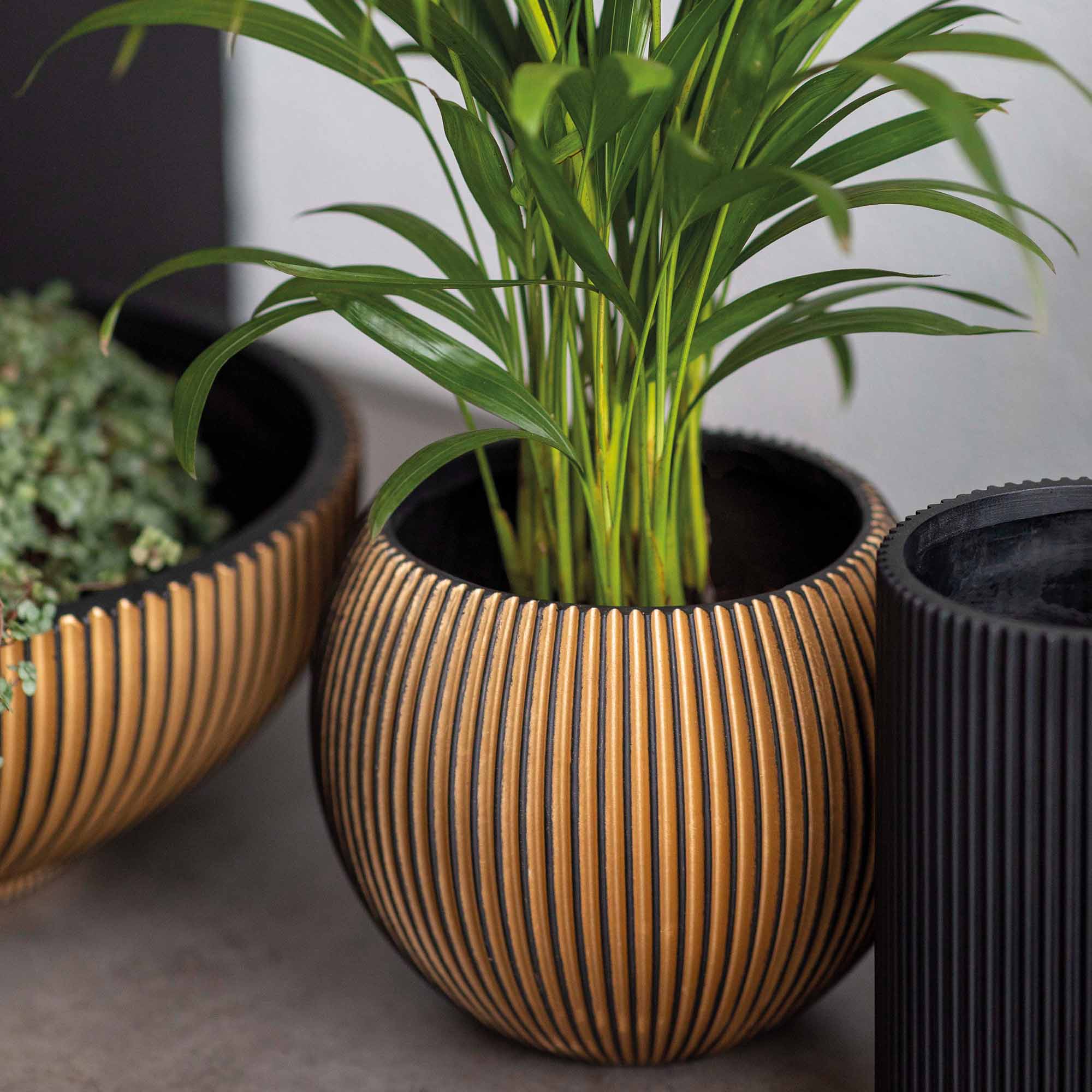 0a7cbff1d3ae89c43c0ac83bffb83122.jpg c2c4272518de8f123f04c123f0888e38