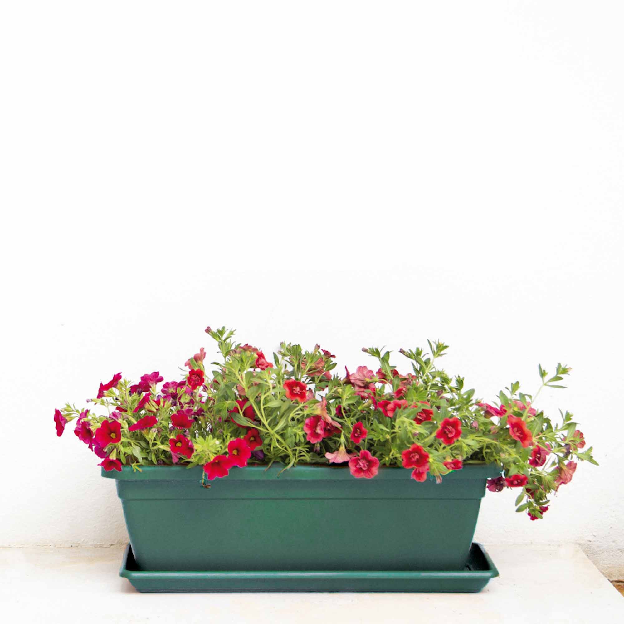 0d1d347b3e25767ddbdec85246c732cc.jpg c87bc4e6780f8cdf34bf7dbff21f73e4