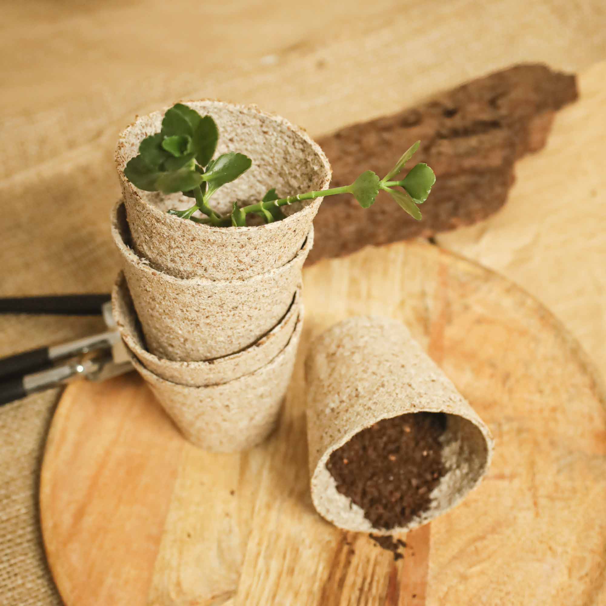 0d8b26910c5a1e1823be64dc41c3728d.jpg 8d8dfee4a89dd146ceb4260880db72f2