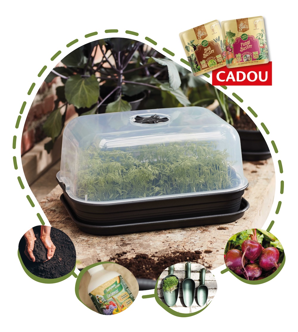 Verdeața Urbană - kit complet de crescut propria verdeață pe balcon