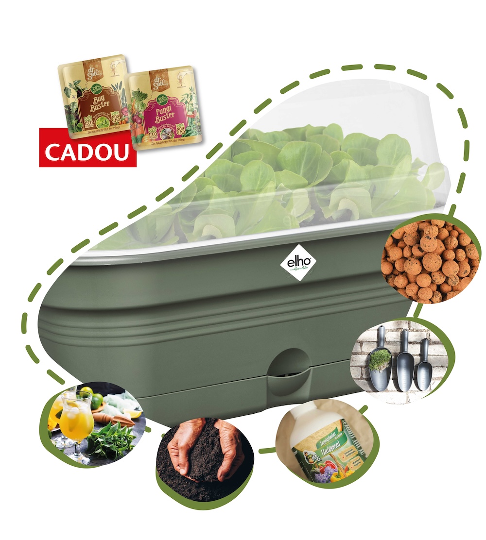Cocktail Party -  kit complet de crescut plante aromatice pentru cocktailuri