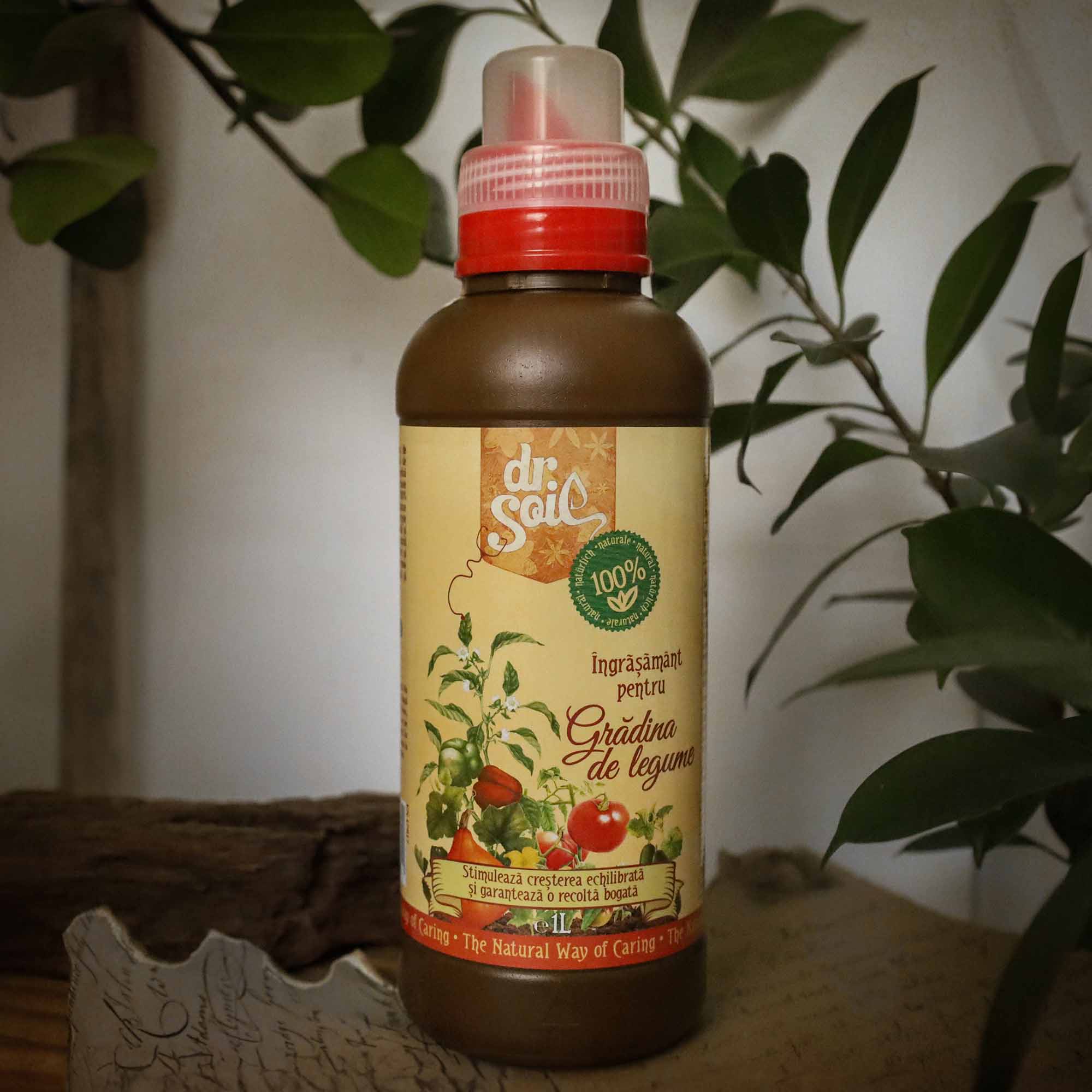 960a3e30a4bc1c4f66584e8bb72ff8b9