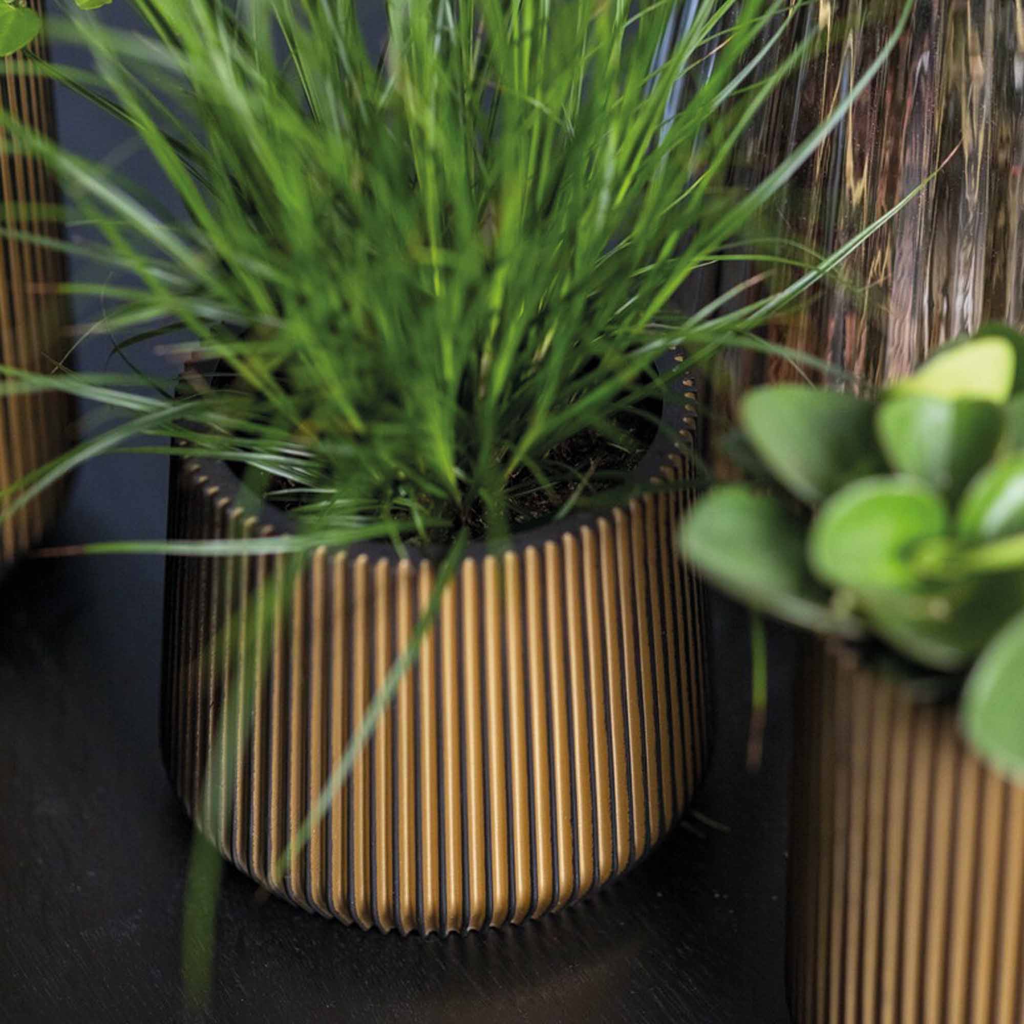 2dae103a6224cb9e752aa2a568602409.jpg eece5fc614557c72b38ce6f15179c91b