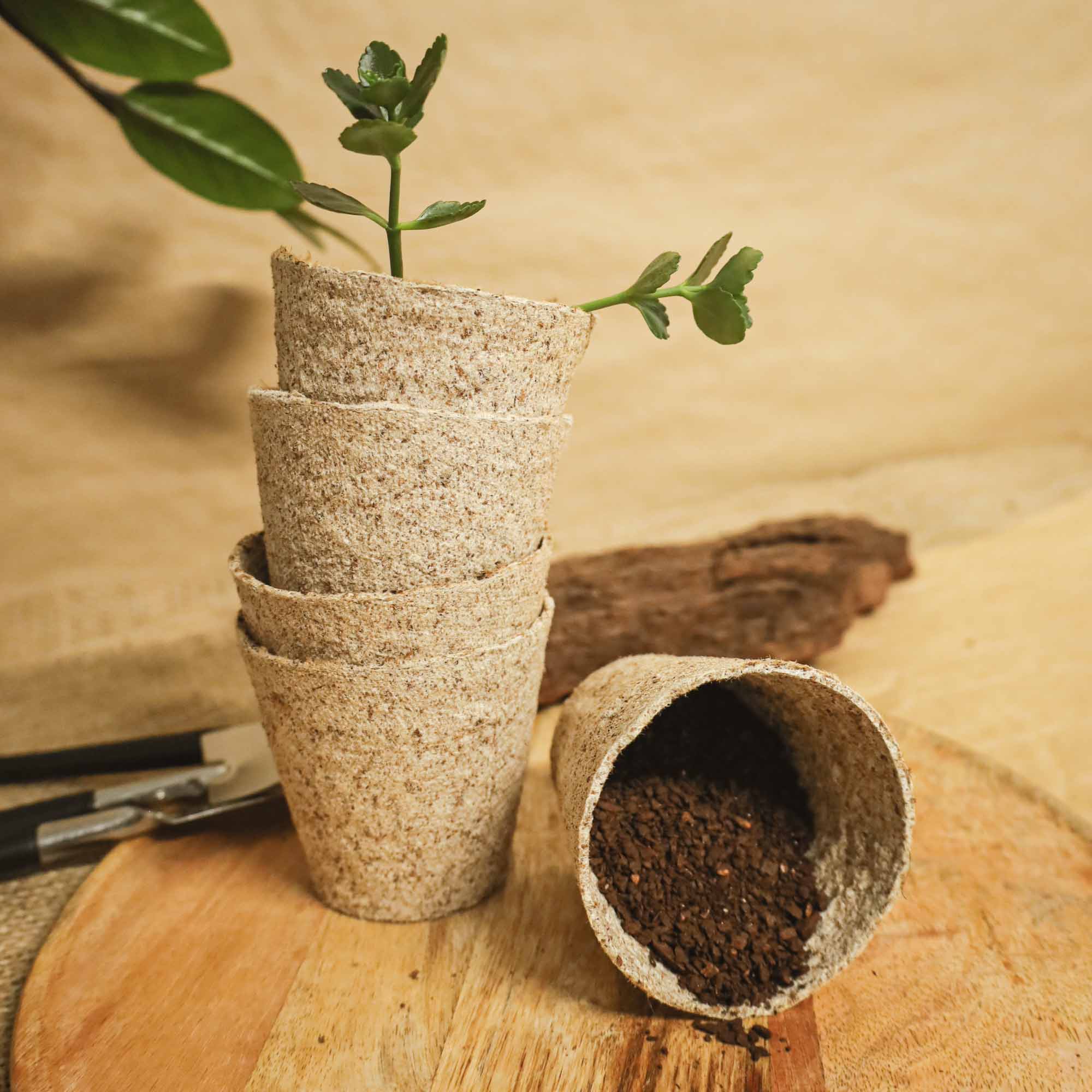 3410410ed00ea772fc0dd225a759ffb4.jpg ec25e40af66d8518864ab2c3fbd301f1