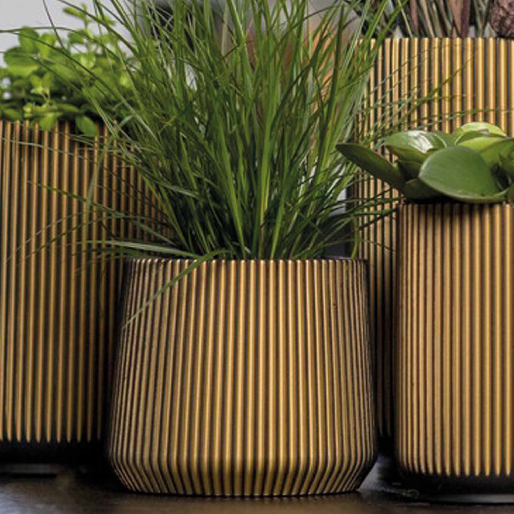 345872d87274f3dd207e50f131046fd9.jpg bcb2f7dc31836a972c67b020cb8965a0