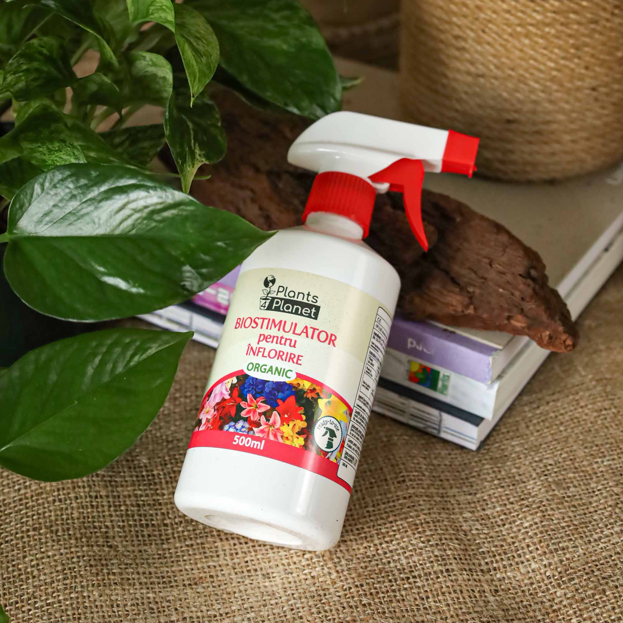 3465c2b1e6895d1137ef302199e18dfc.jpg 976a0155e6c116f5e466b68895ce720d