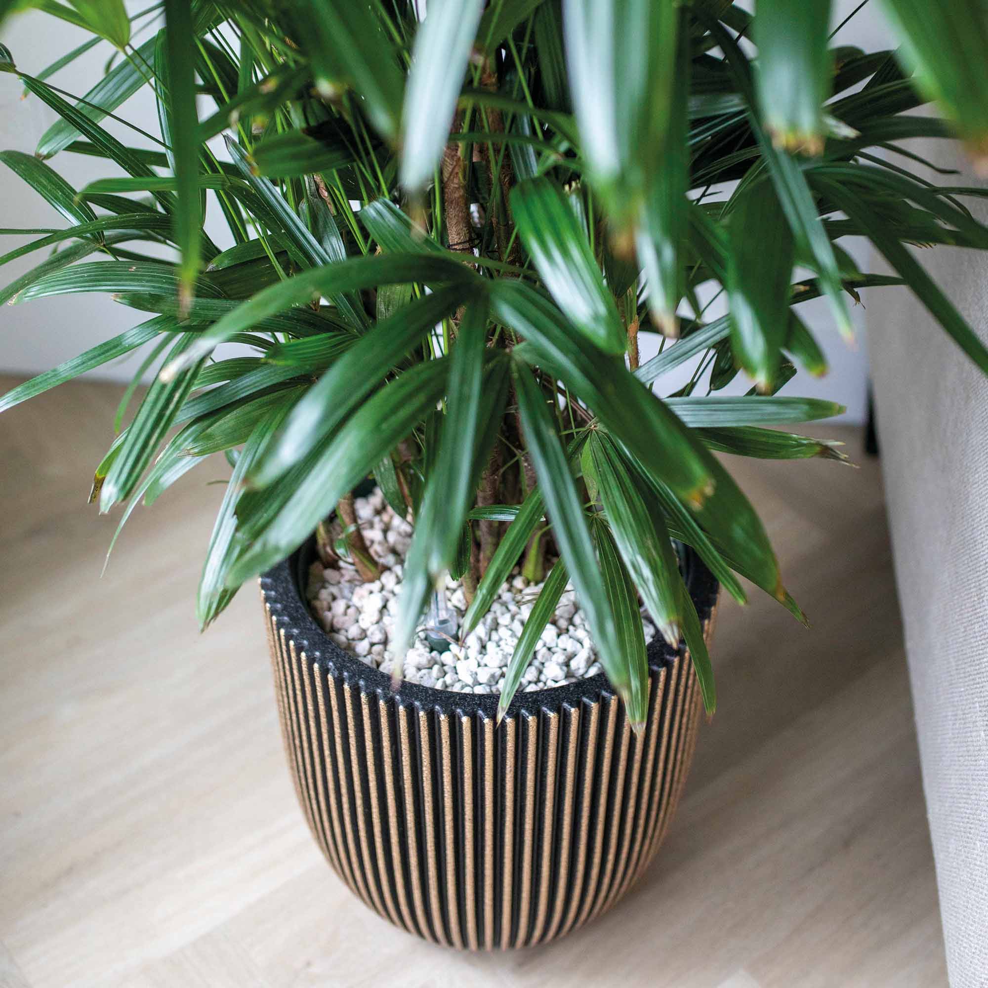 3cd2a31cd1c645bfbbb7e42dcf7949c6.jpg dd621bc29a513f646499e0a82dcf9786