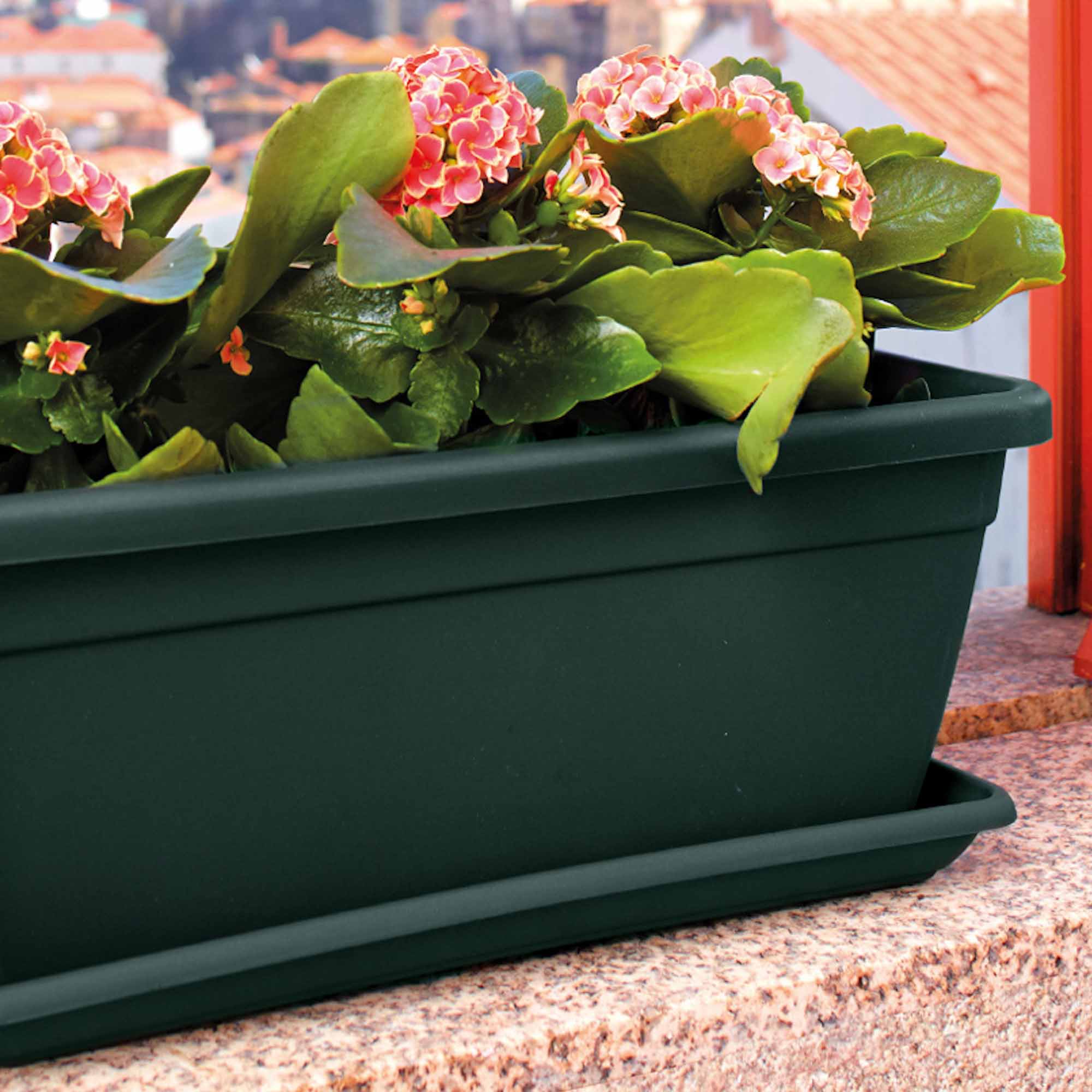 41e600f272db8e8ac823030b5ac33be4.jpg 240ae8d00247308a75601993eb241313