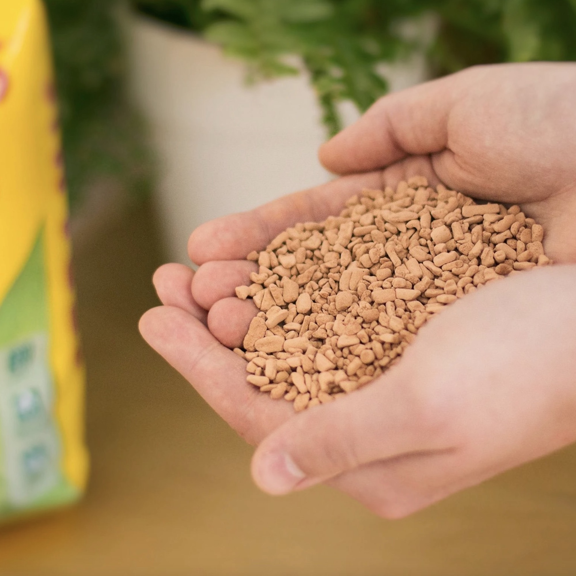 Screenshot 8ca1c6569314673f7ec80dce0df7f8d7