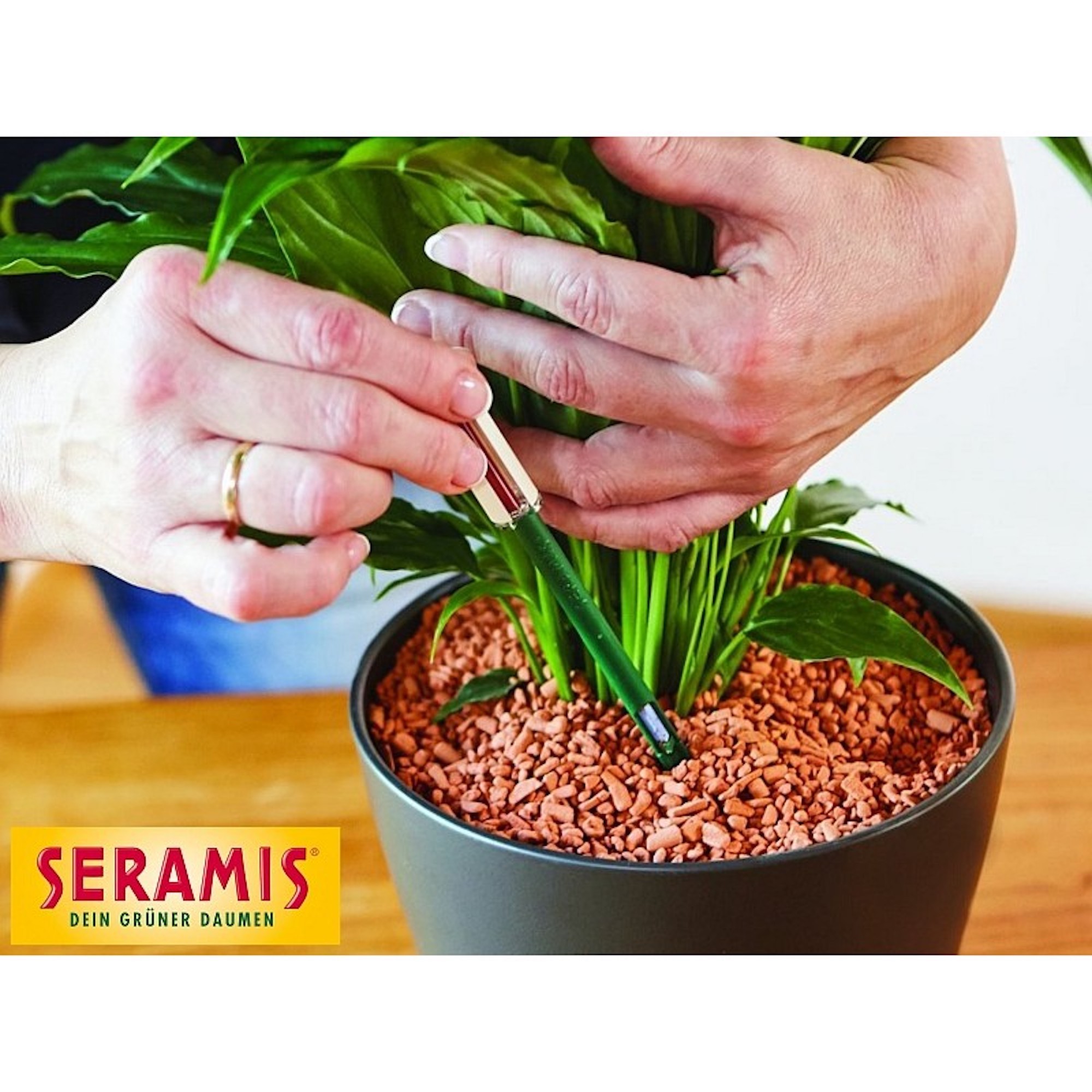 3e5cd349b4eab7df3601e761da1b69a1