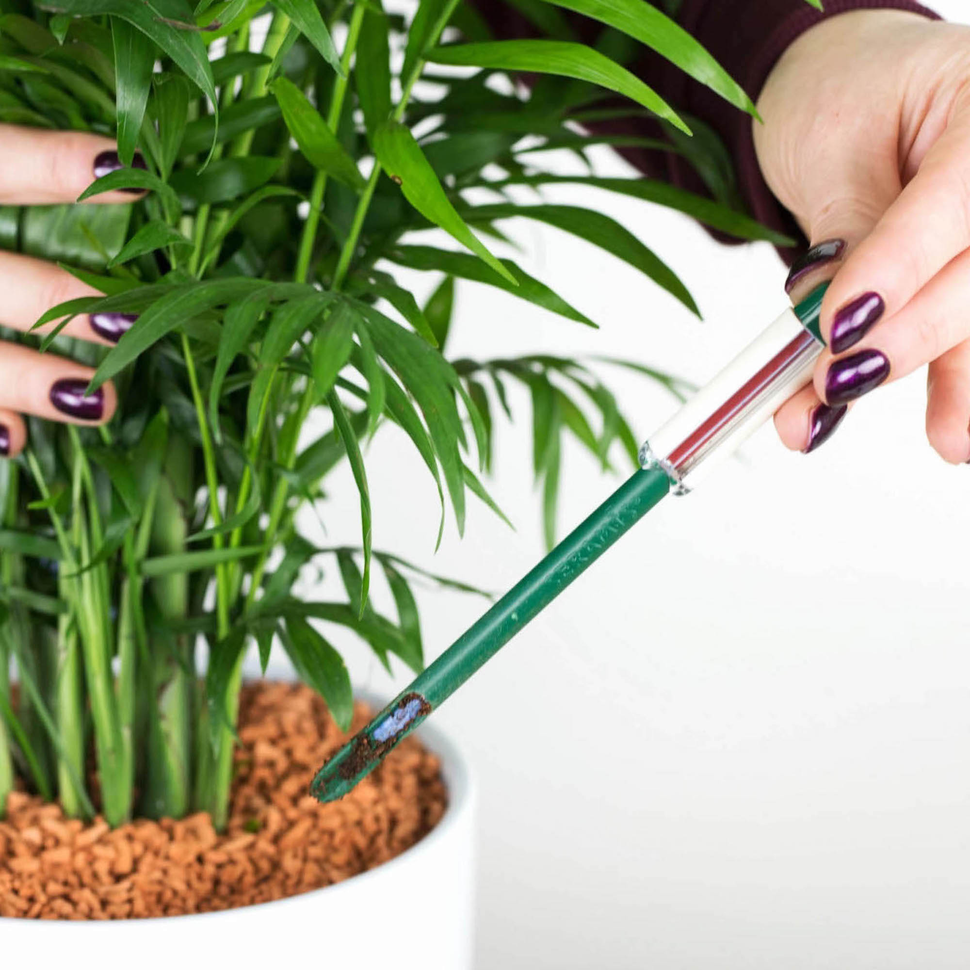 2ec833860ce6e8a7b3fcba4ac43b5a7b