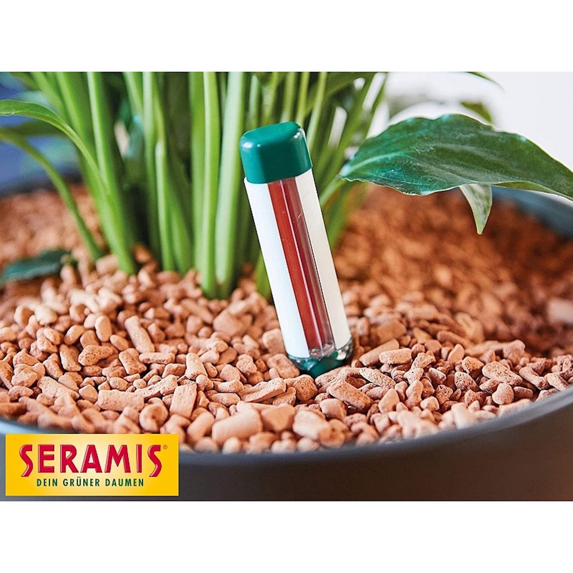 4260376730369_2.jpg 9c946fa030fcbe72b616ff6090249757