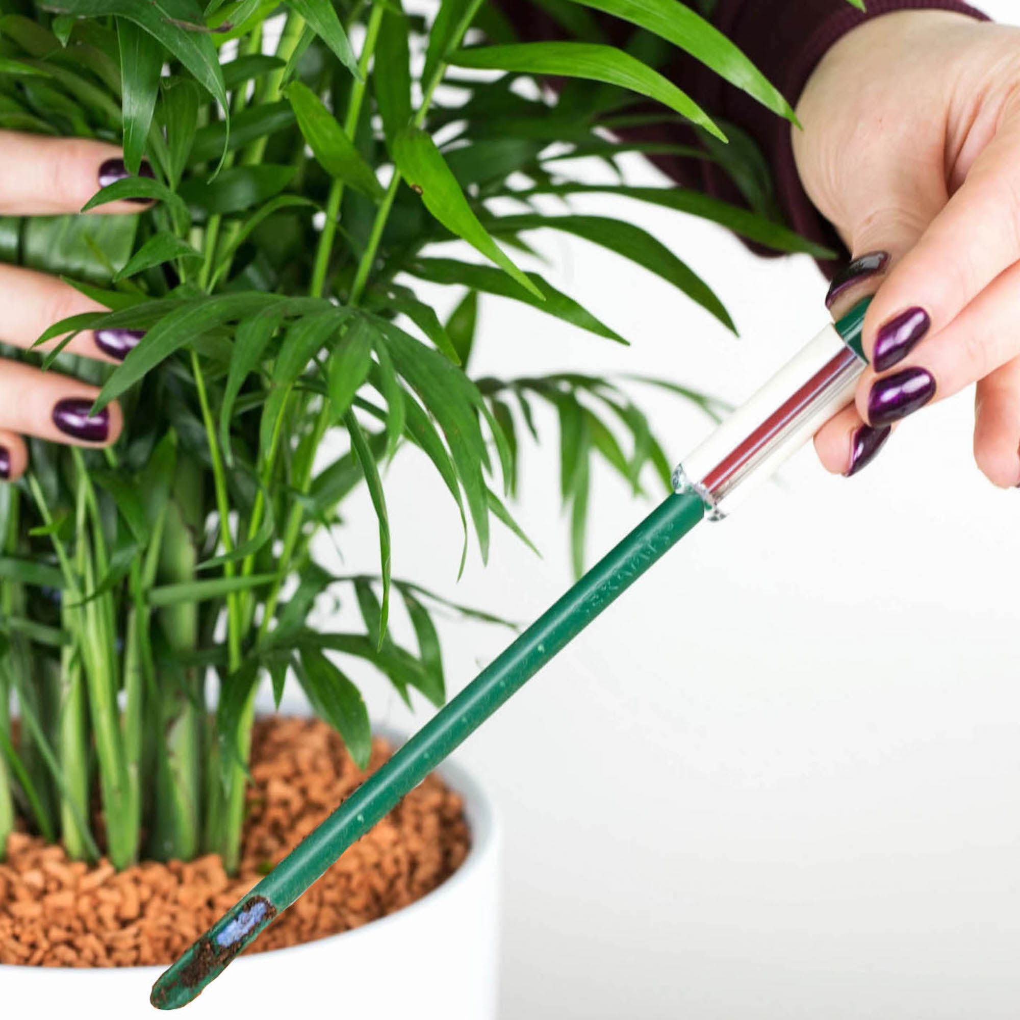 4260376730369_3.jpg a2acf60faac9047aa1aa0c68fa865c4f