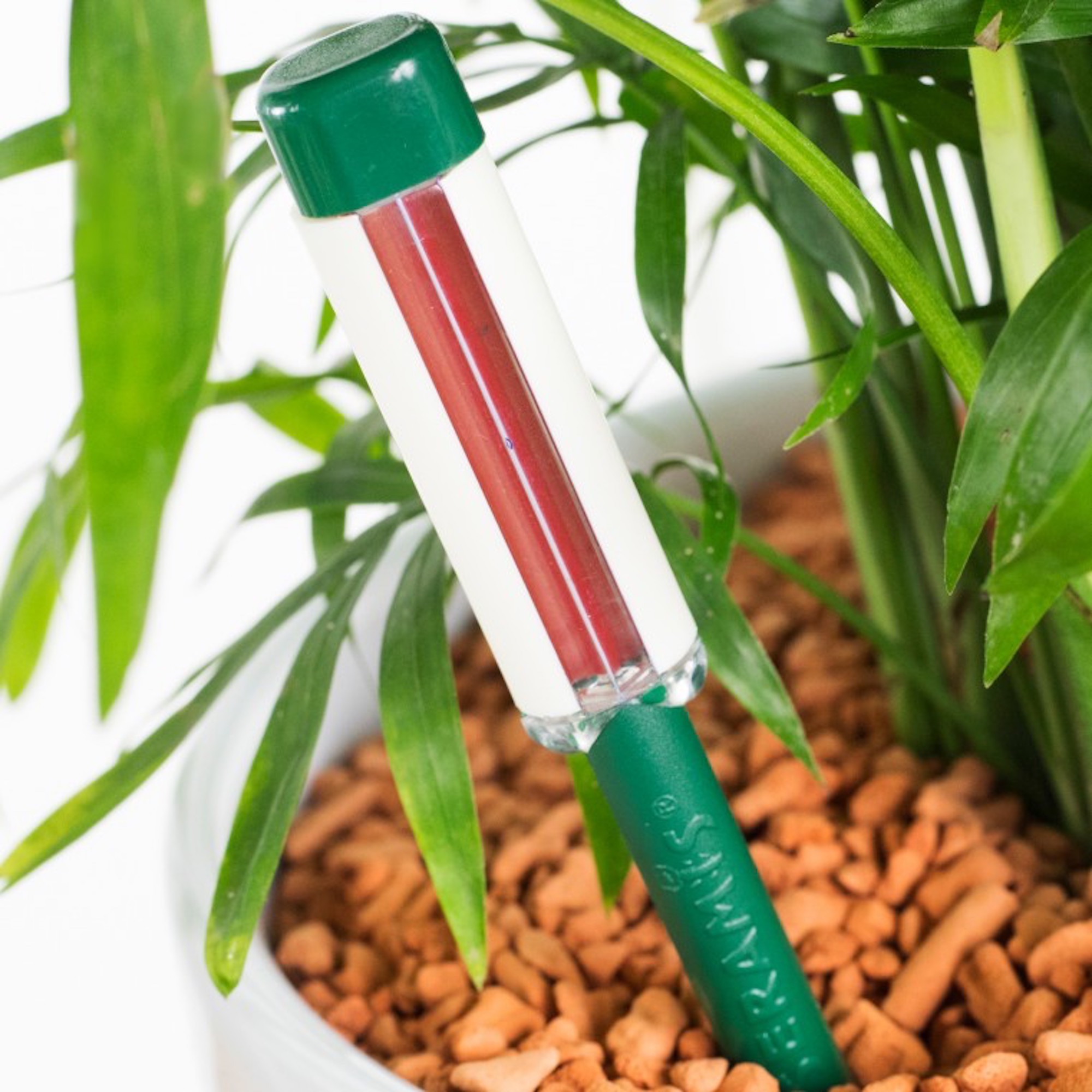 4260376730369_4.jpg 881bf2e01705e70e09b1fdb06e69e41a