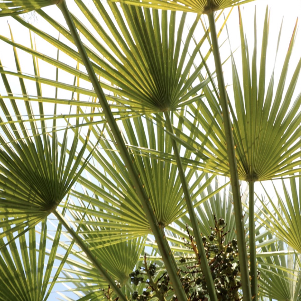 Screenshot cca97fe221560184d200ea359b9ed6ac