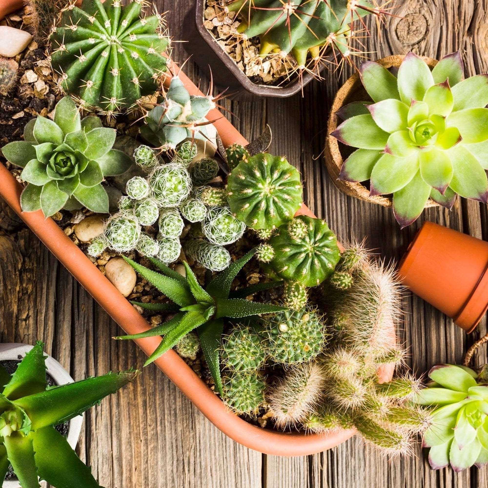 e7765919a43f537e057a2aba78b6b3f9