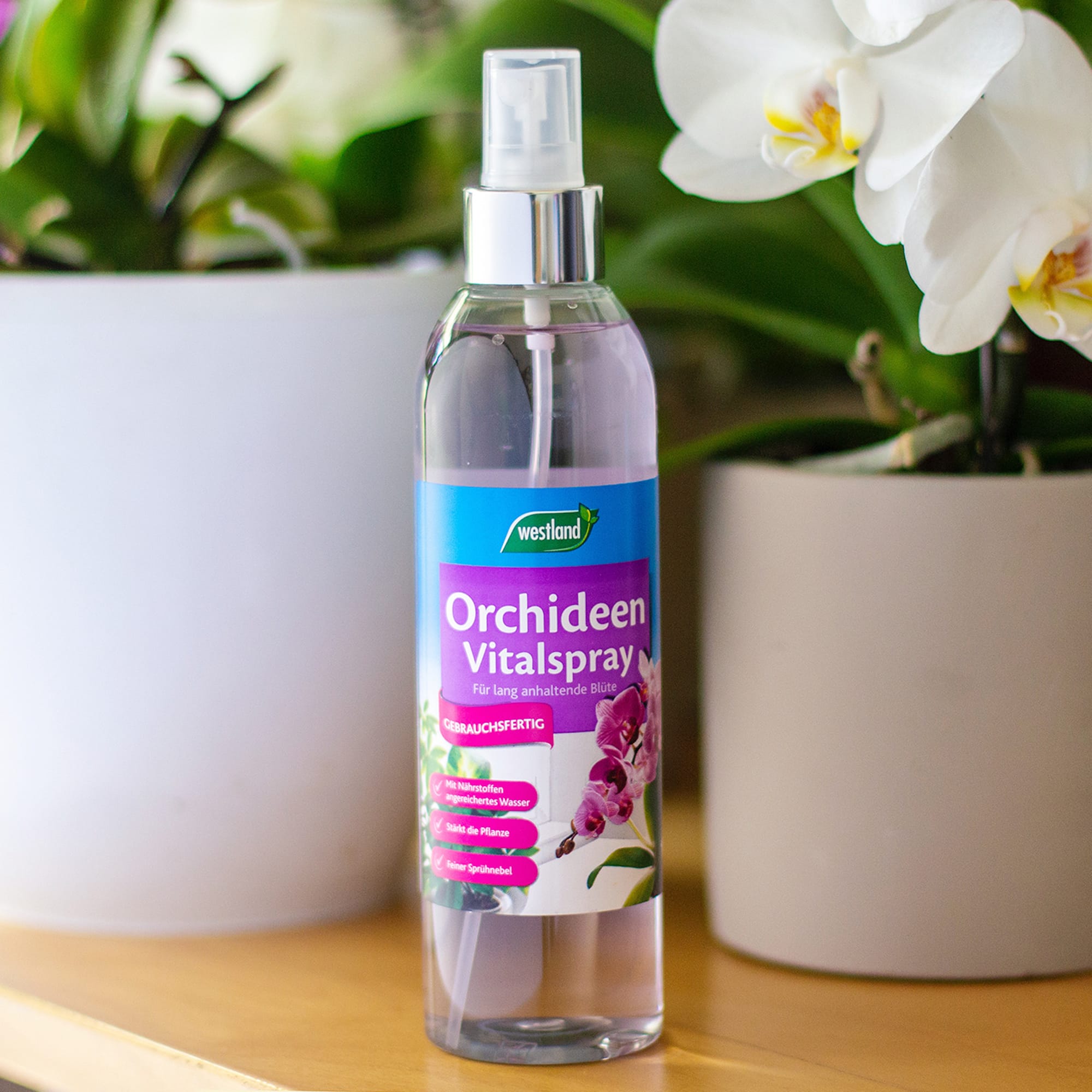 4260376733704_1.jpg ae3f982cac20ed83a77e0c63bb972ee5