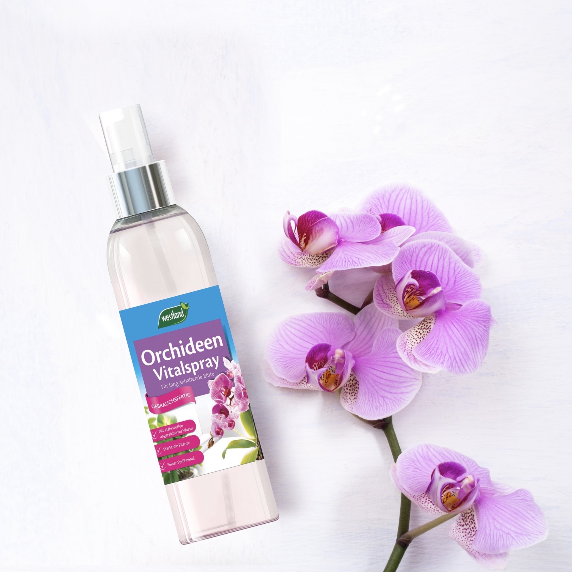 Screenshot 208098c77a0ea50fb8b6370dff95be93