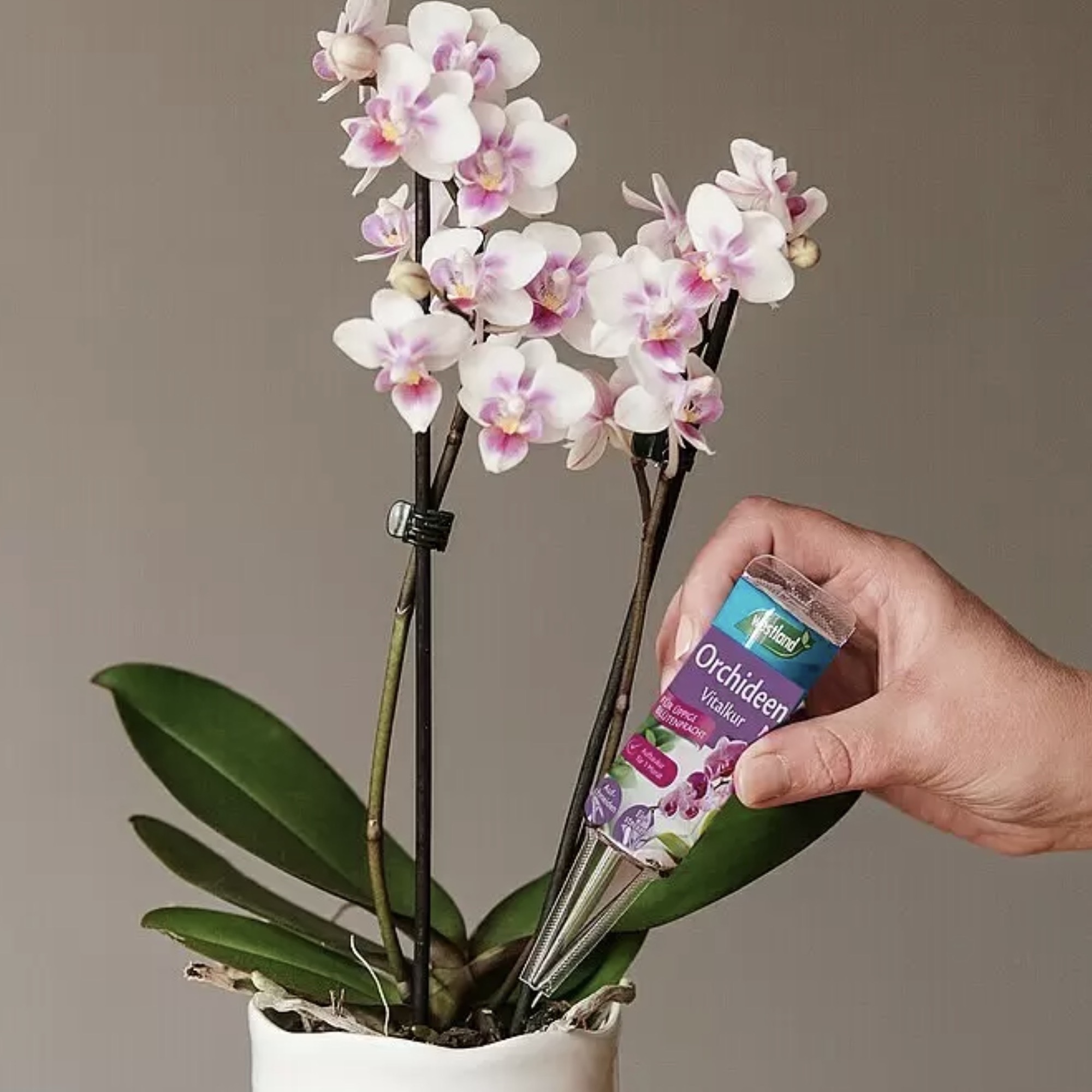 b8b6058bed5df6e45d7f54bbc9ab3d82