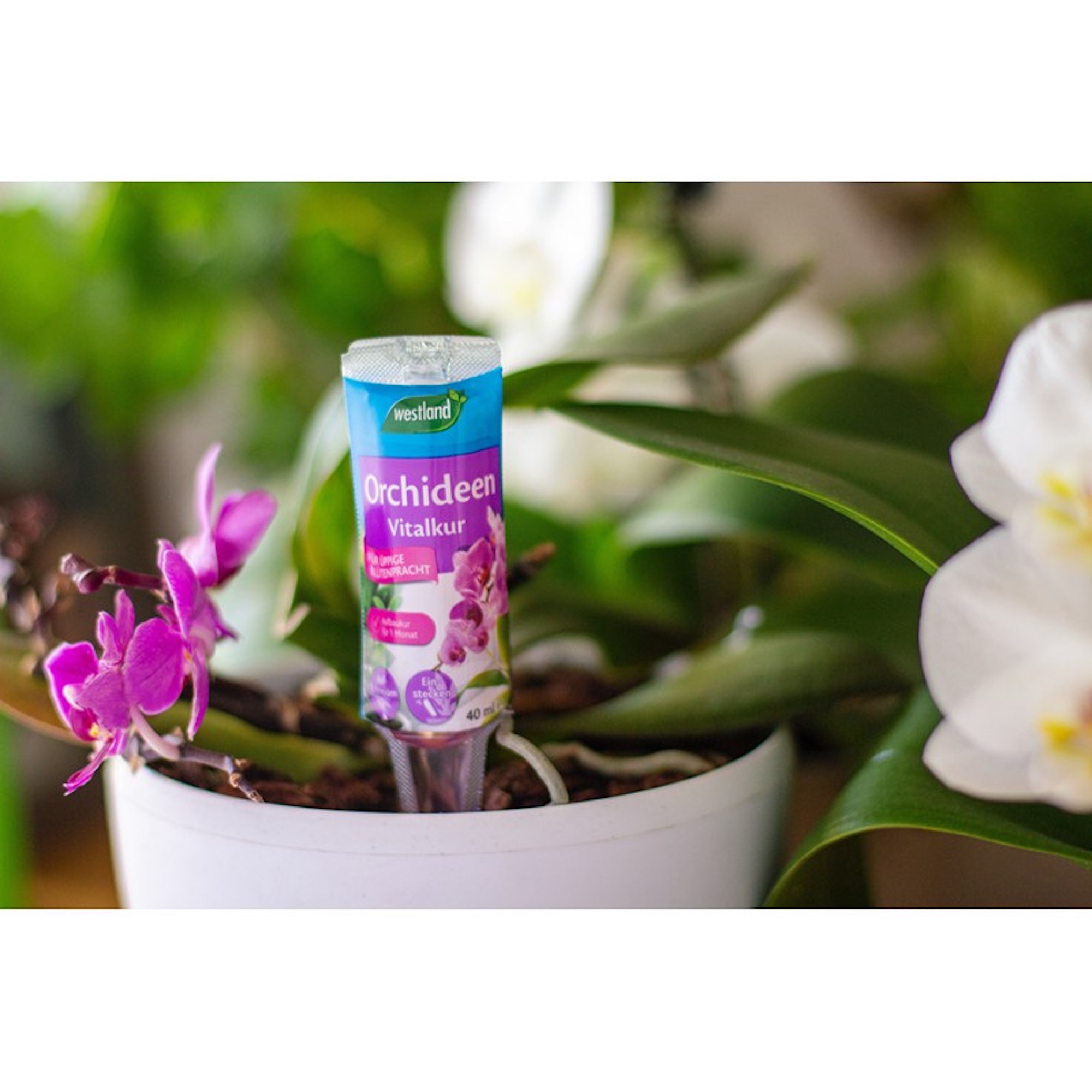 a68e432dfe533680daa89cd8e25973a6