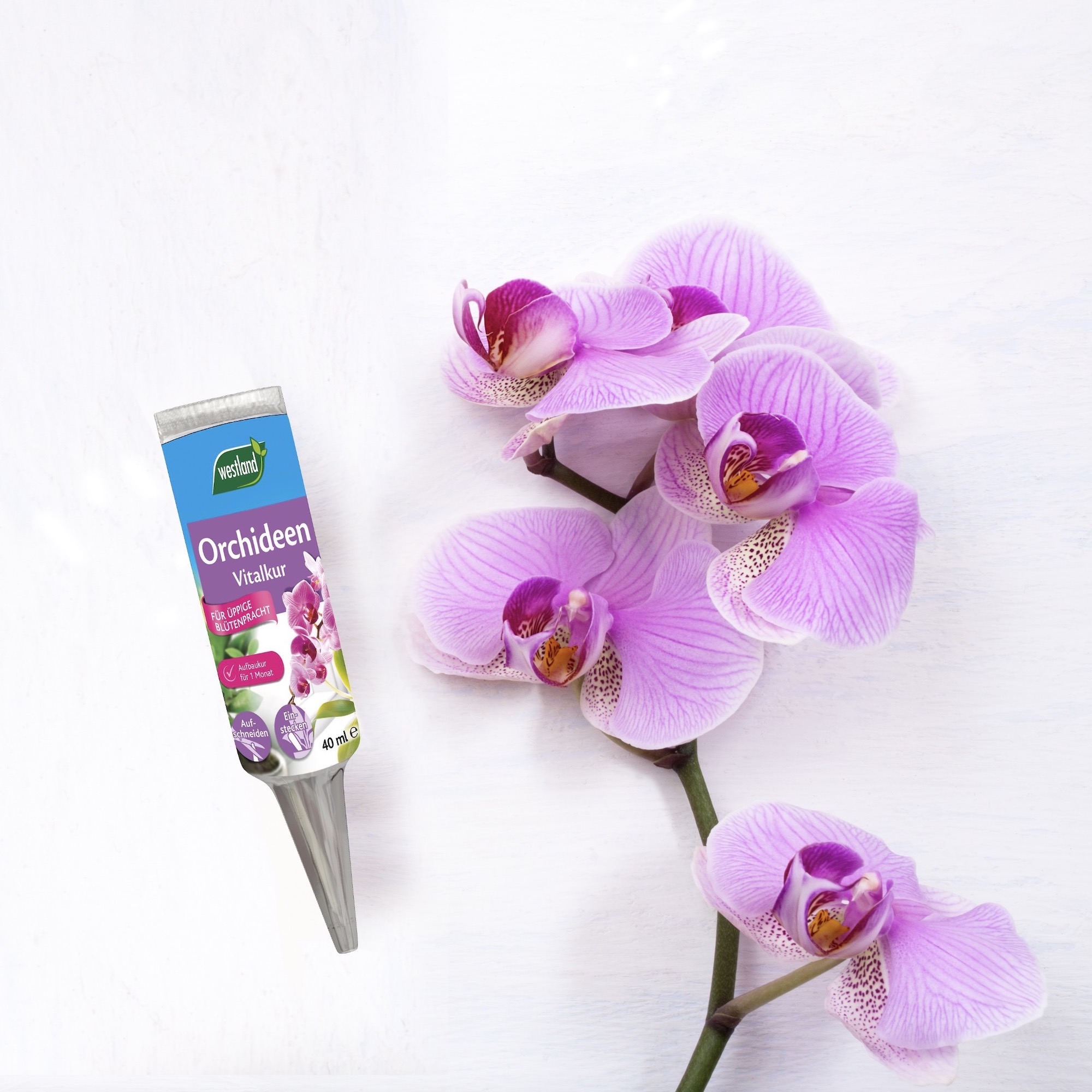 cbc8d0e54ae7c875944dfd857d54ca9a