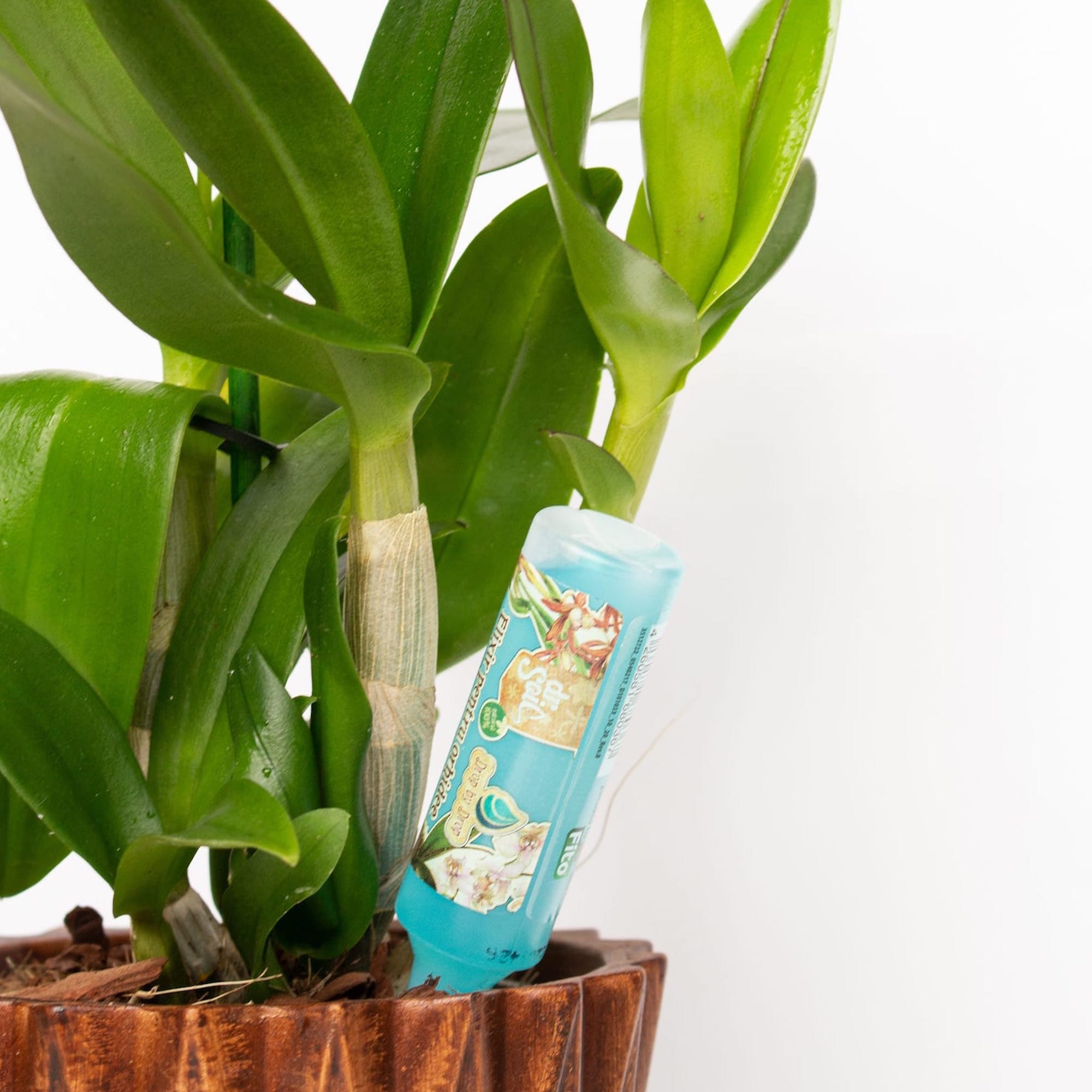 af3150f6898a87e81a15f5a5552e5179