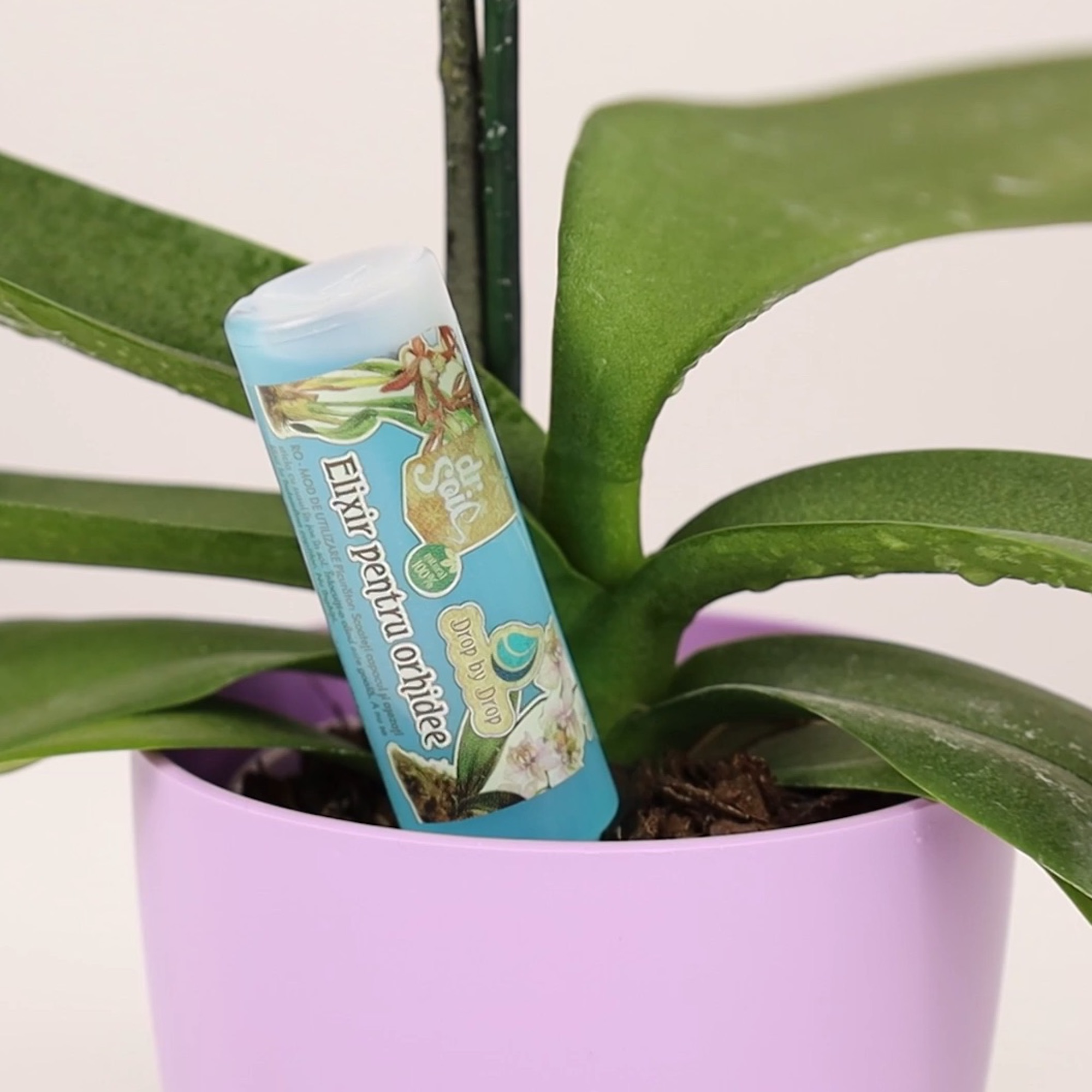 Screenshot a96ea060e4a9c47cface2ec5caec9029