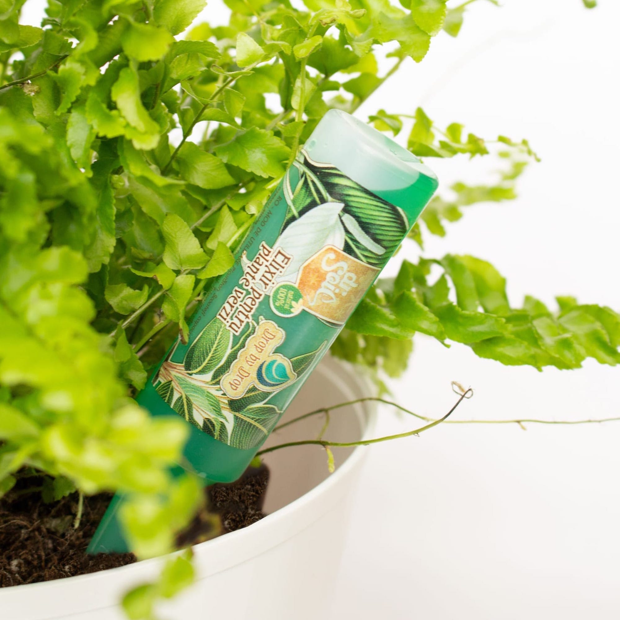 4260581680398_1.jpg 29c53391c5f0a02f137285343fed1fef