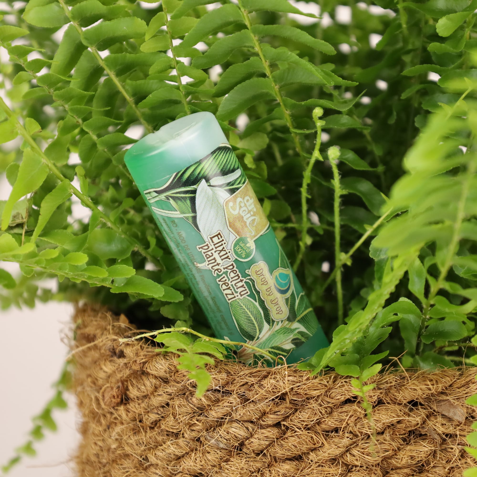 4260581680398_3.jpg 1b293a632293a4c4fd98941aff8e55f7