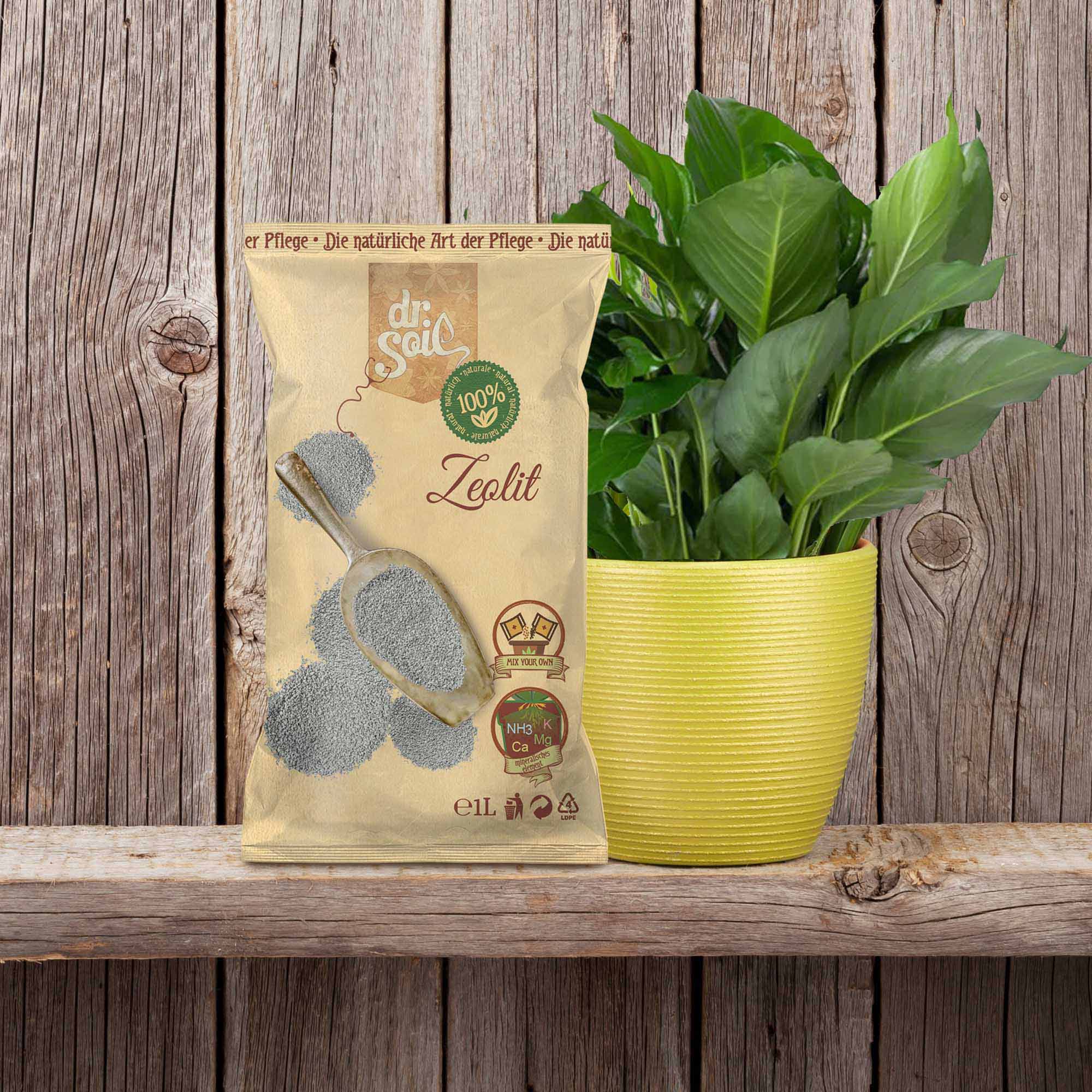 4260581681234_3.jpg 0459c84d1b9ed4aa5369b7844d4d6088