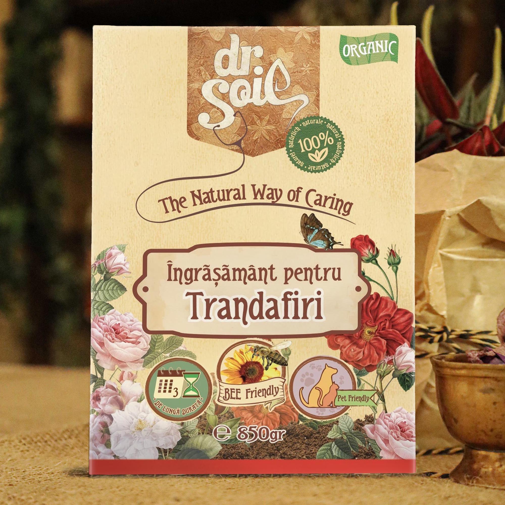 4260581681241_1.jpg 4964c177847c70a400008e17cb807f91