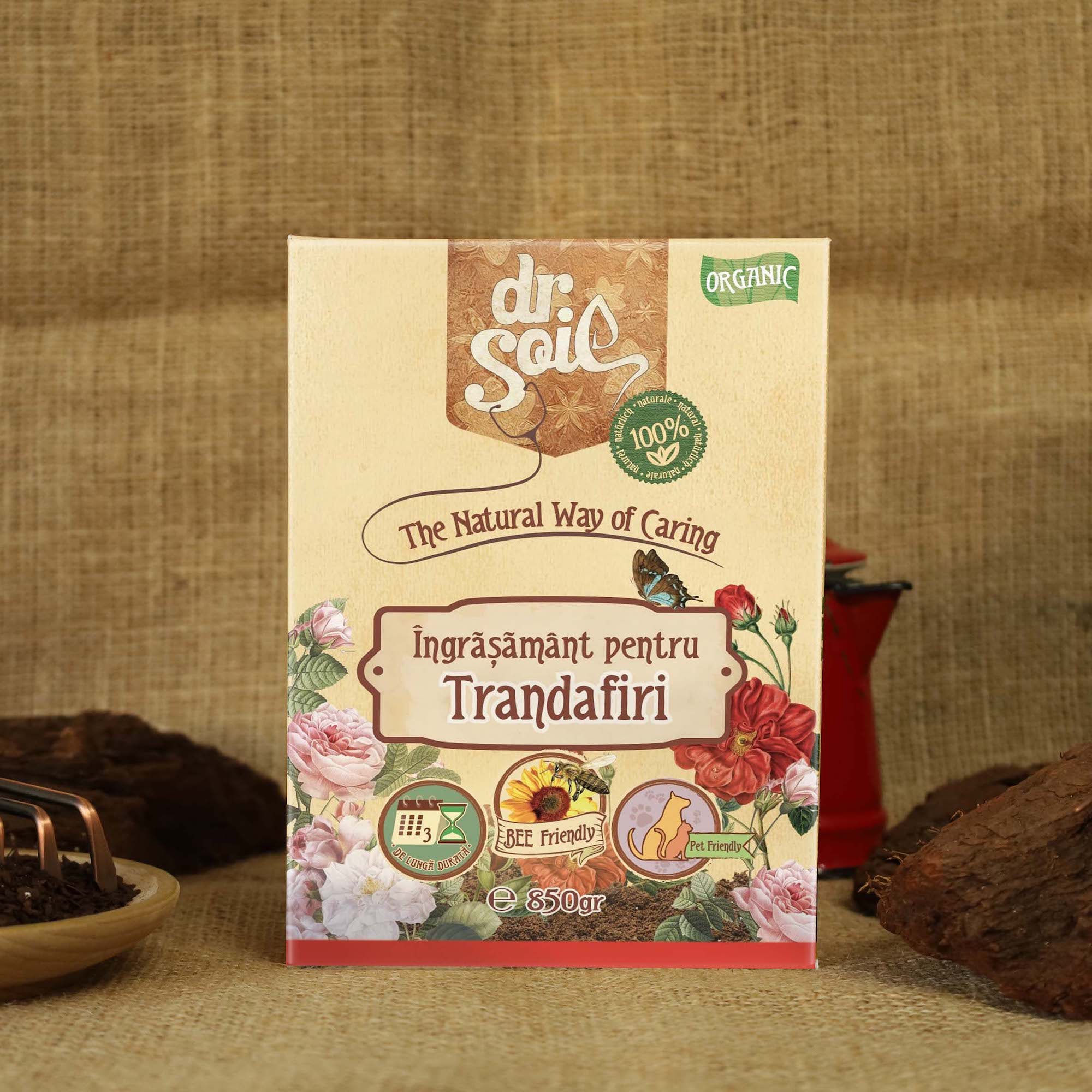 Colorful Education word wood block on wood table with green blackboard 90f03ce3fb057a5735f2ba36187b9f8a