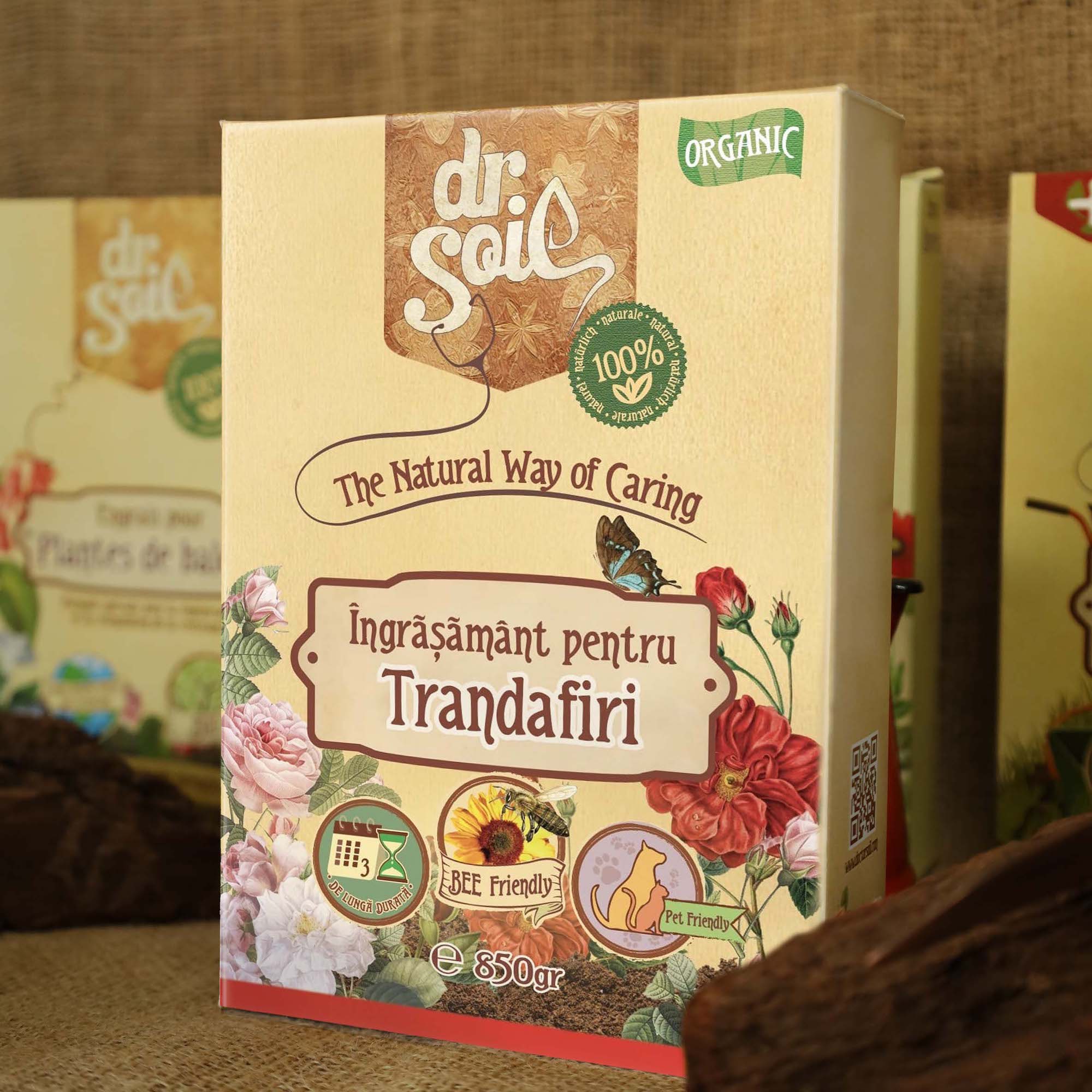 Colorful Education word wood block on wood table with green blackboard 27ce89ddfaa09df3fe1d79966f816854