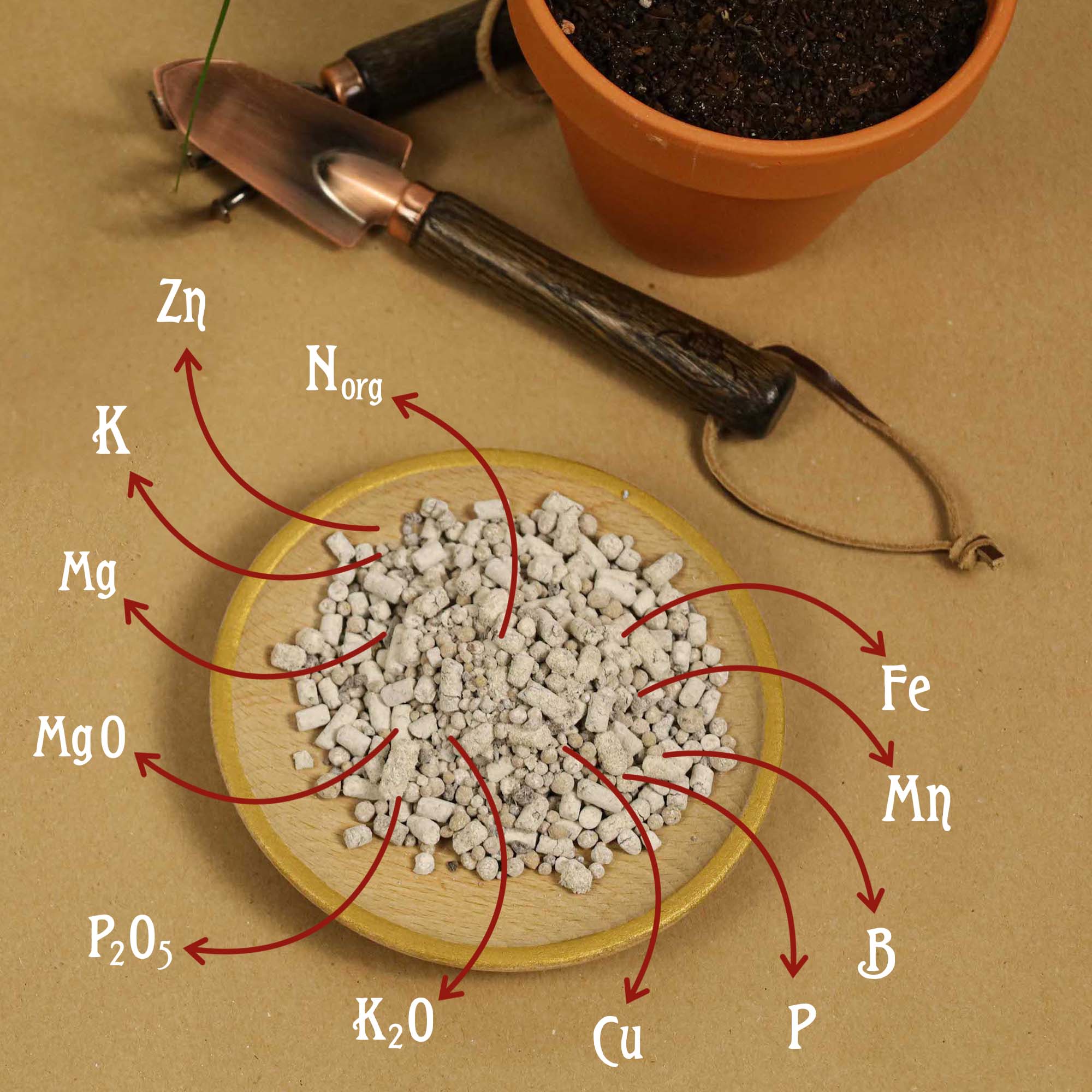 4260581681241_7.jpg 8522eaa55cab6ebaf5e68730f99fc160