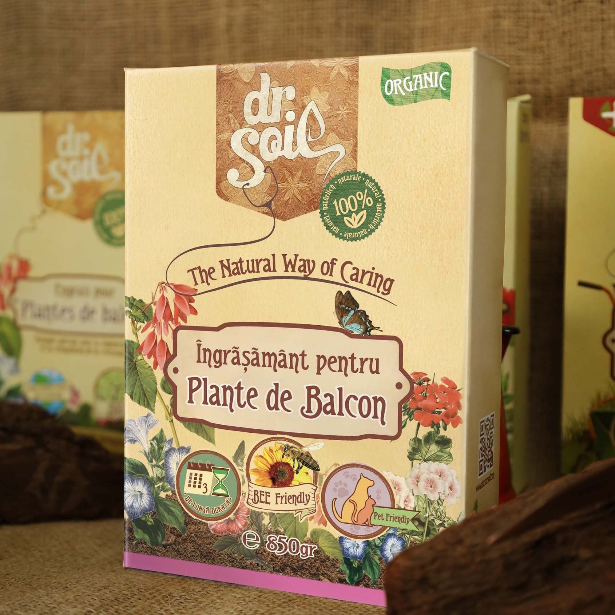 Colorful Education word wood block on wood table with green blackboard 209355862ebc6b85a16375f4fdf0ce23