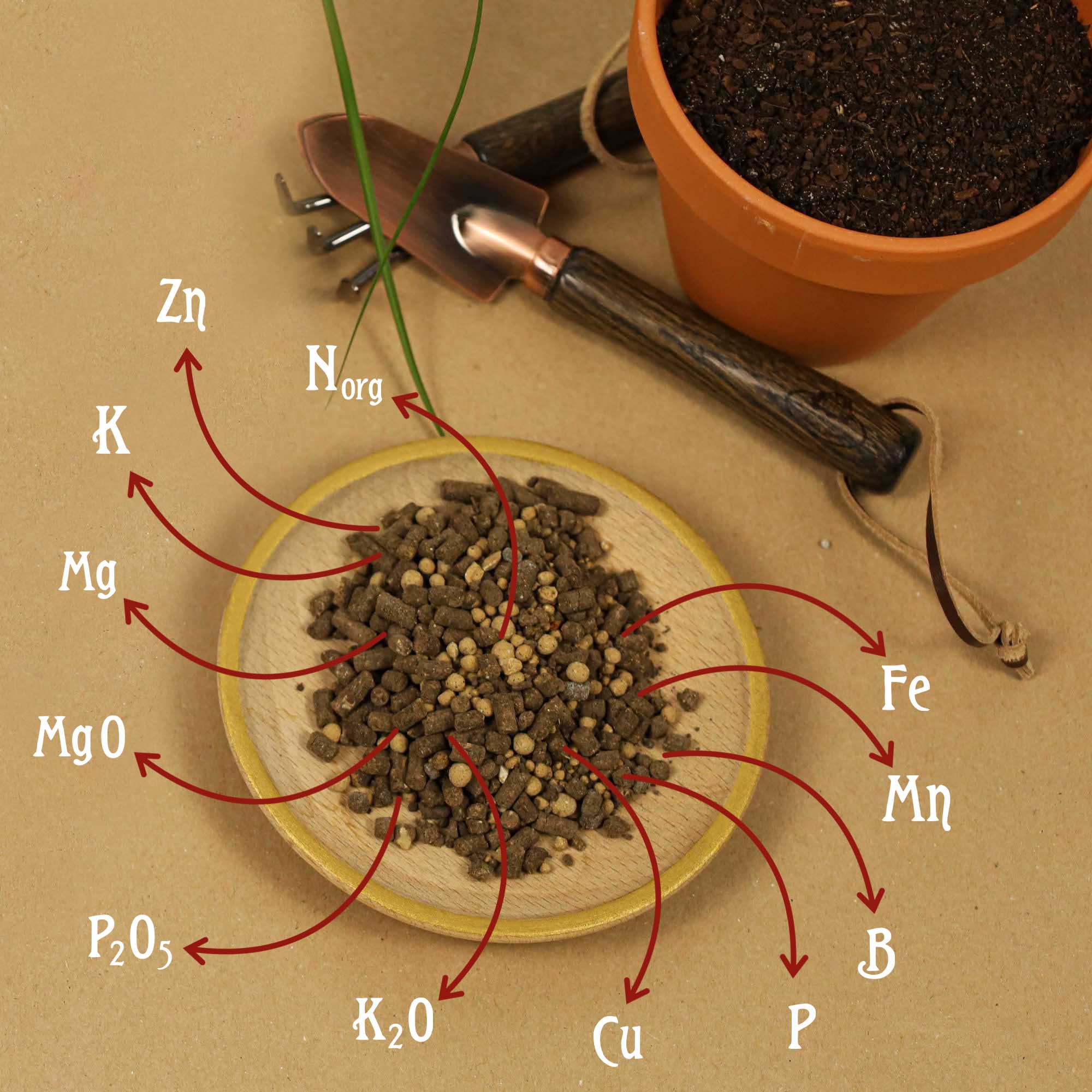 4260581681265_7.jpg 34ddb599e472a4ad531284d58e10d82f