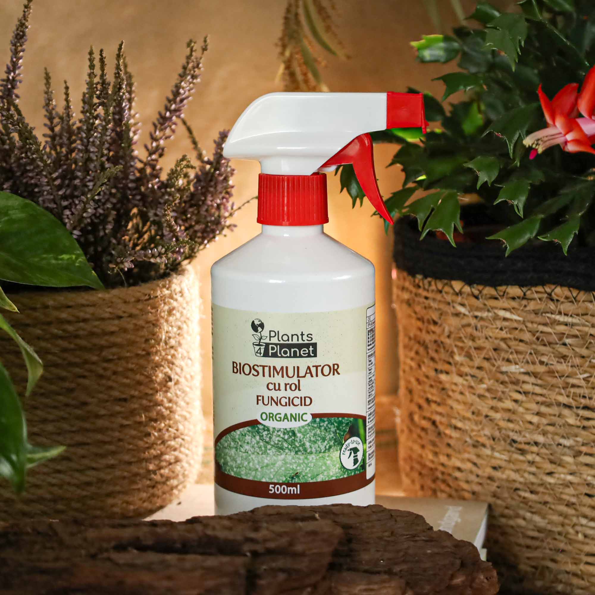 4260581684068_5.jpg 2b4fd9b0641ac66c8fde47b6e129e0a2