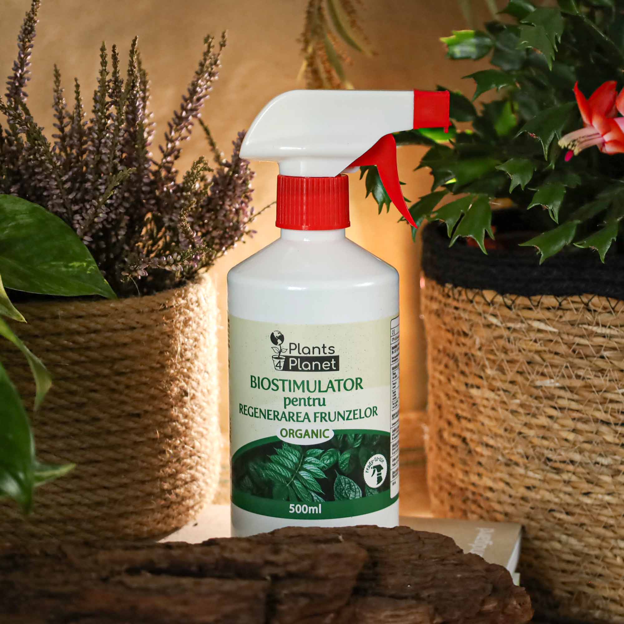 4260581684082_5.jpg bc8c80676a829bbcd335781a96a3459b