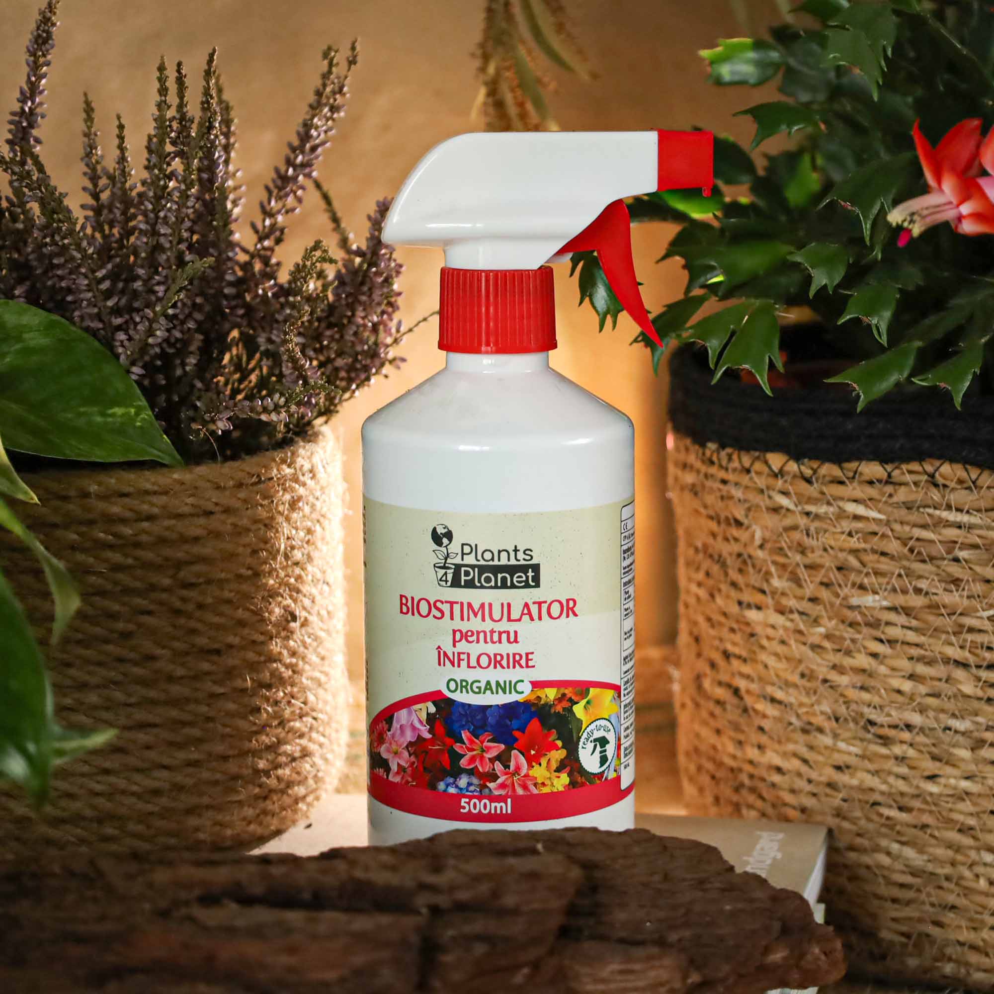 4260581684099_5.jpg 67218e81beba57e38c55e51468141e5e