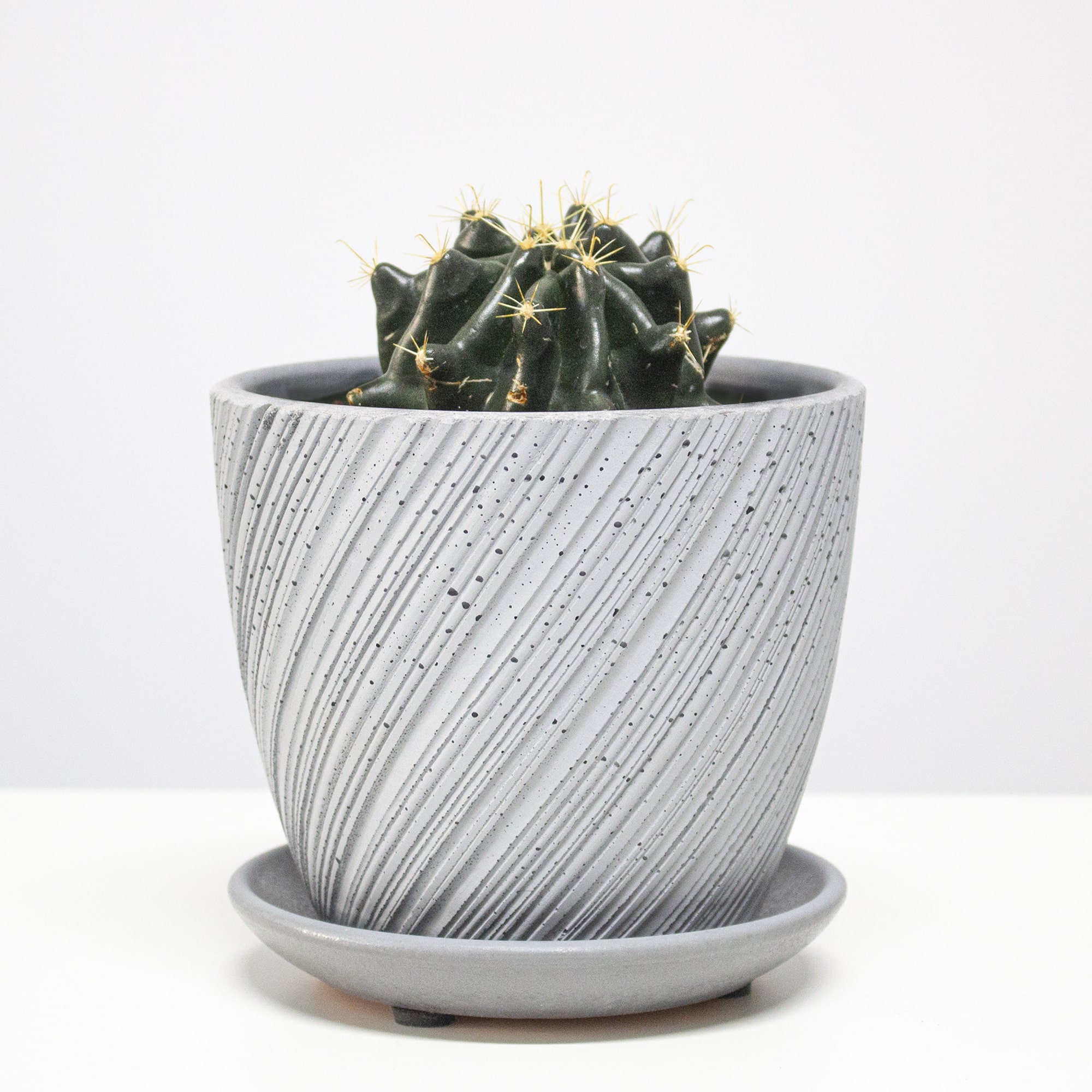 5747cb0b1ee2a319e6ae63ae24b197f7