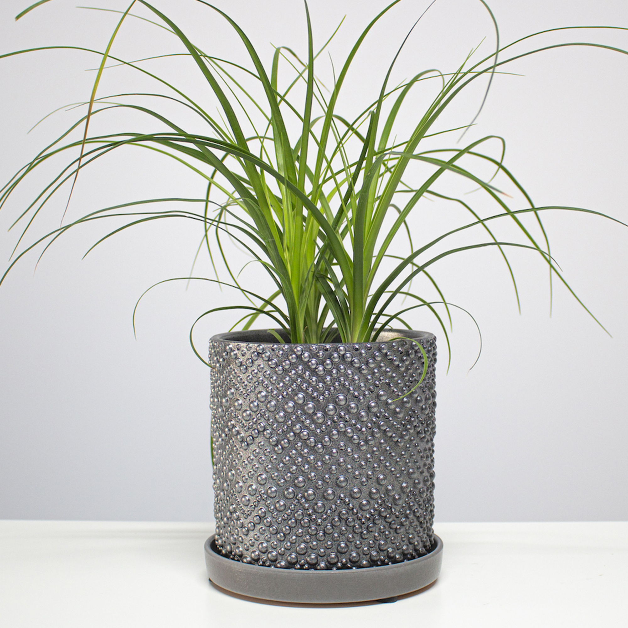 4660020048466_3.jpg 1d23496ce6dcde07ccd1fc7b62b90952