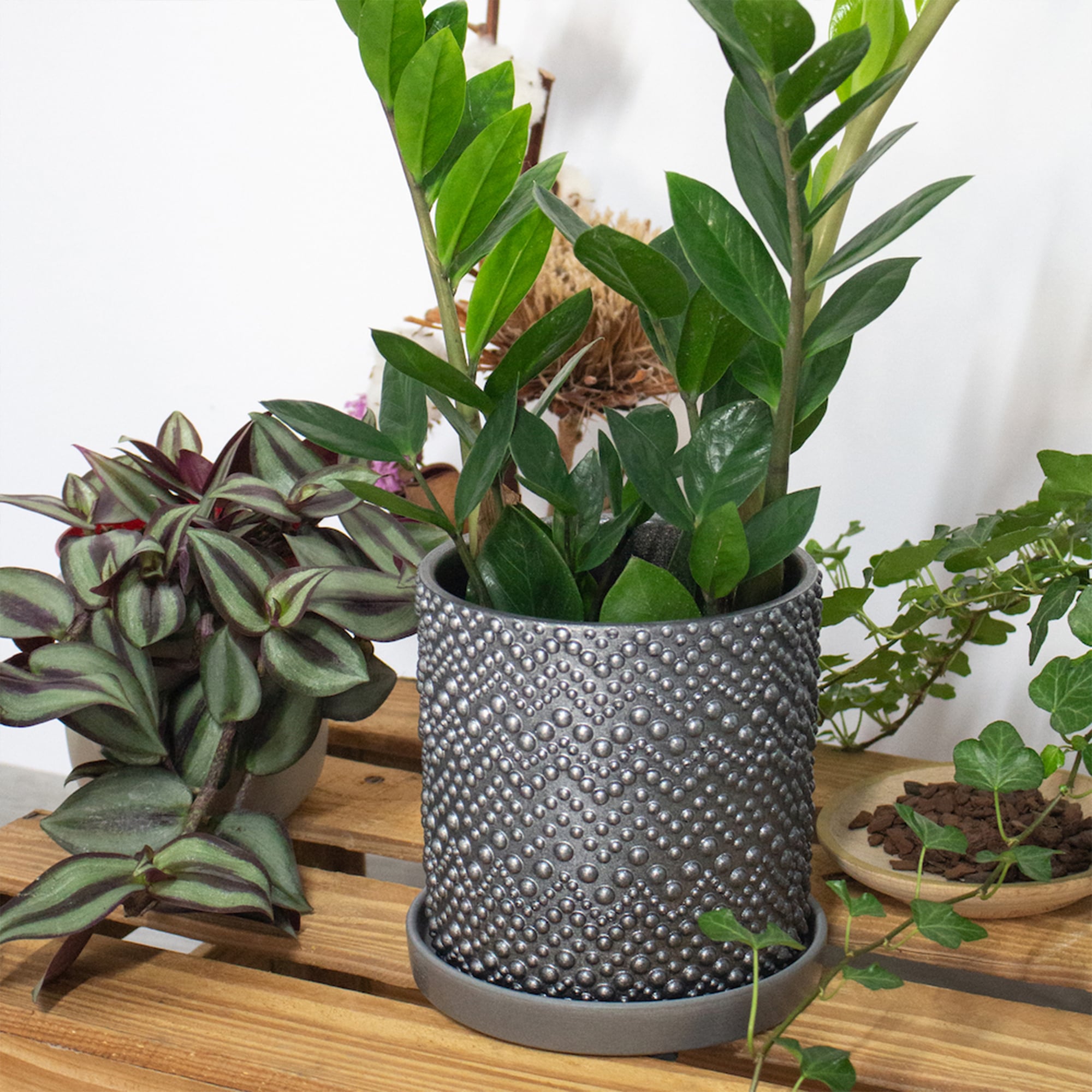 4660020048466_4.jpg 866c24070f7686527a438aed85a12c90