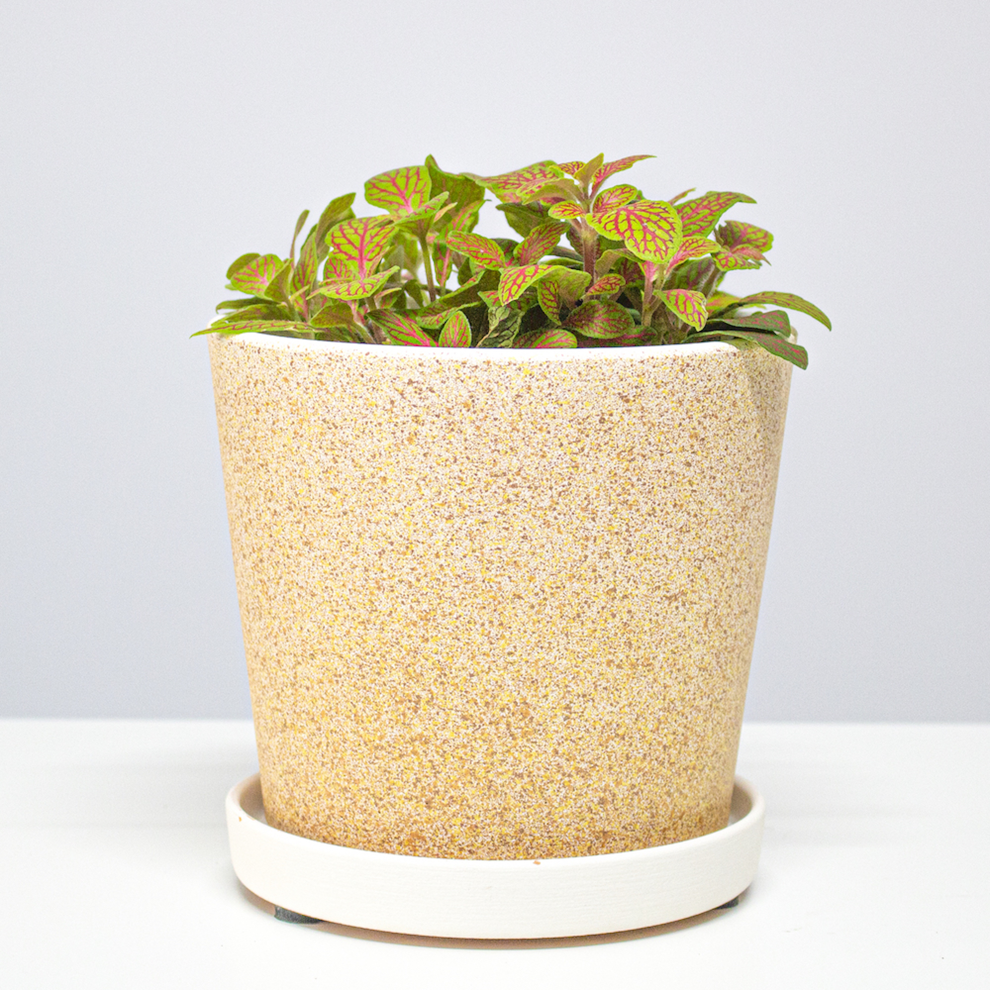 4660020048817_3.jpg 6b4d3898720939bc74ab6bdd7903661a