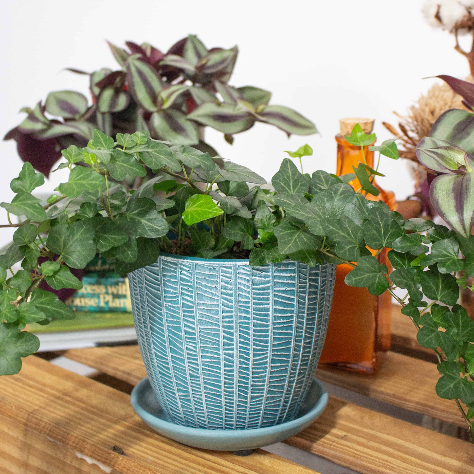 1a2409b48609bfbdb2d62dacc3eee70e