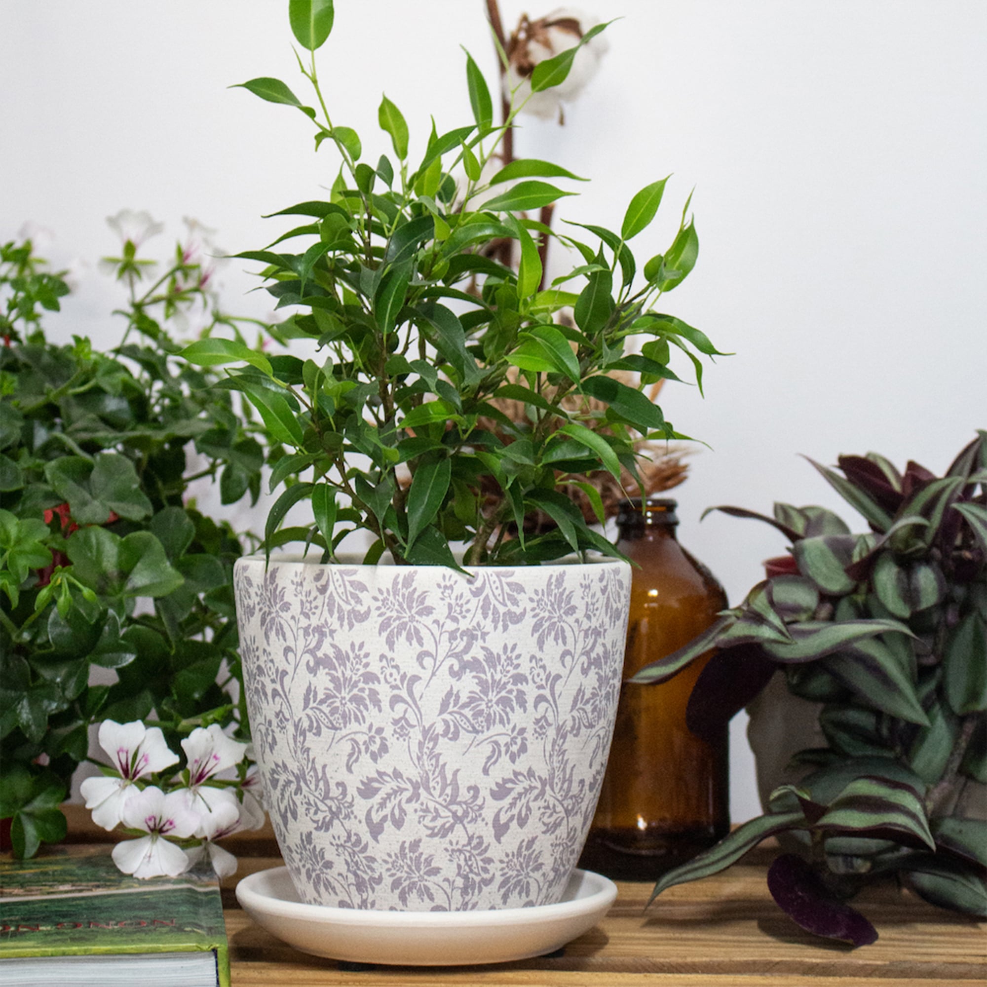 4680031095914_4.jpg fde152bc697e09ac8b1a5e1f7fd474c4