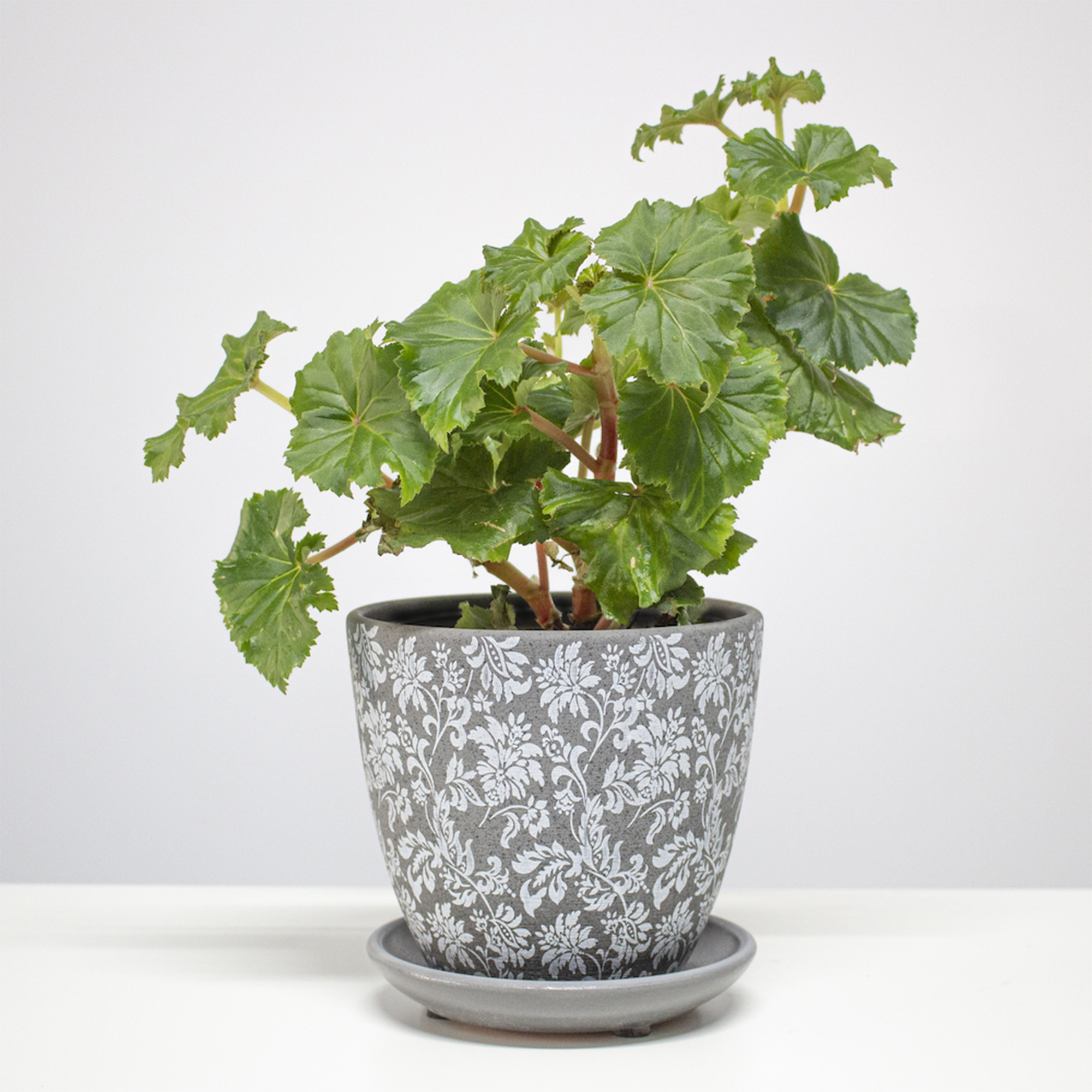 4680031095945_3.jpg 1831f93c067ad896509b349eaa1058e1