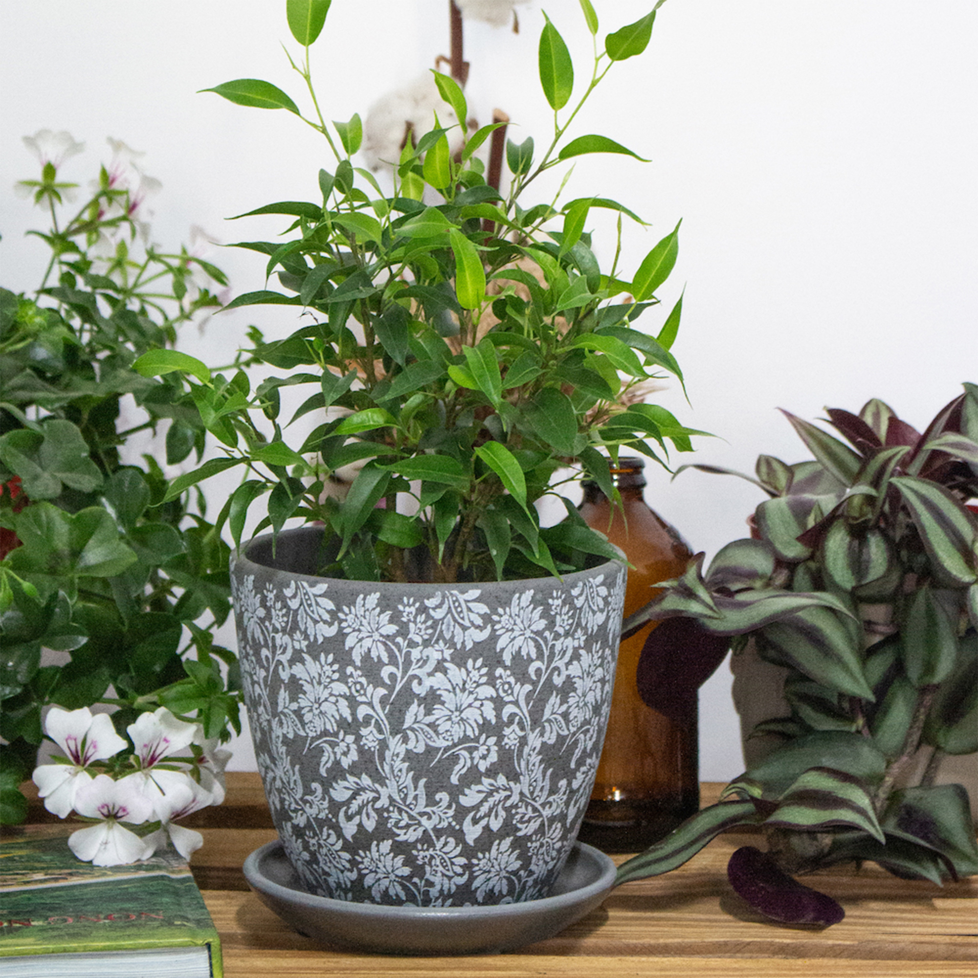 4680031095945_4.jpg 8208fba0dfd0901f72fdb9401c9d7b4b