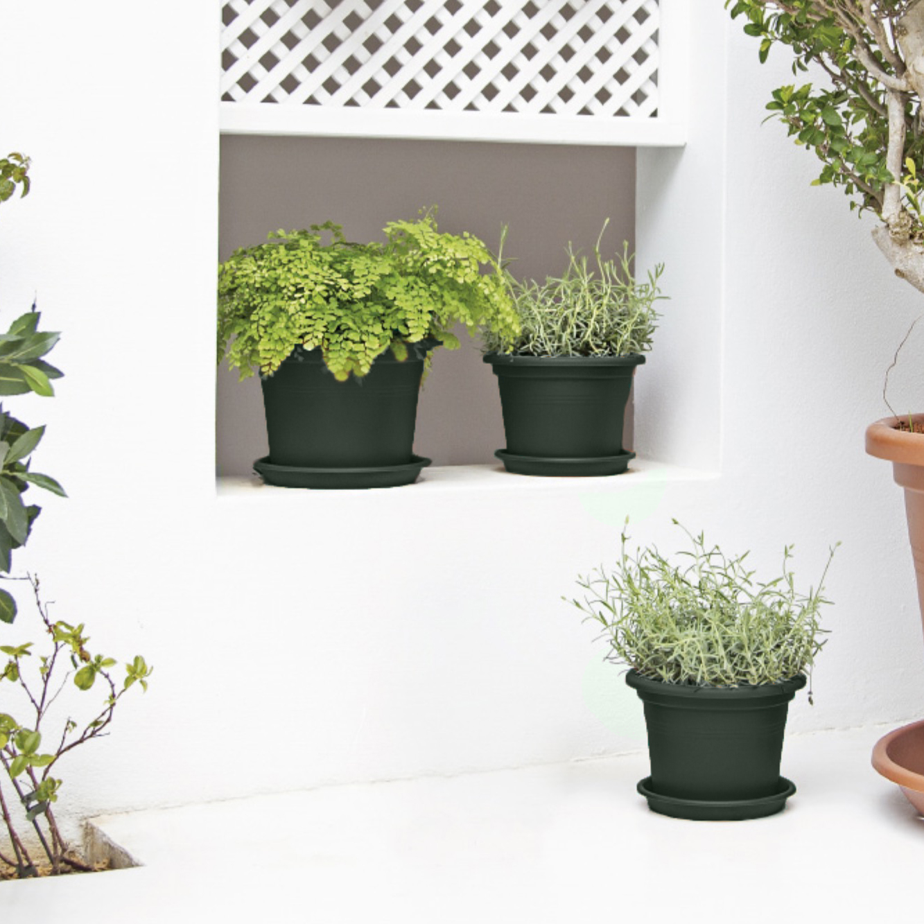 Screenshot 1b256ad8e07a5cbcf744d7c923439685